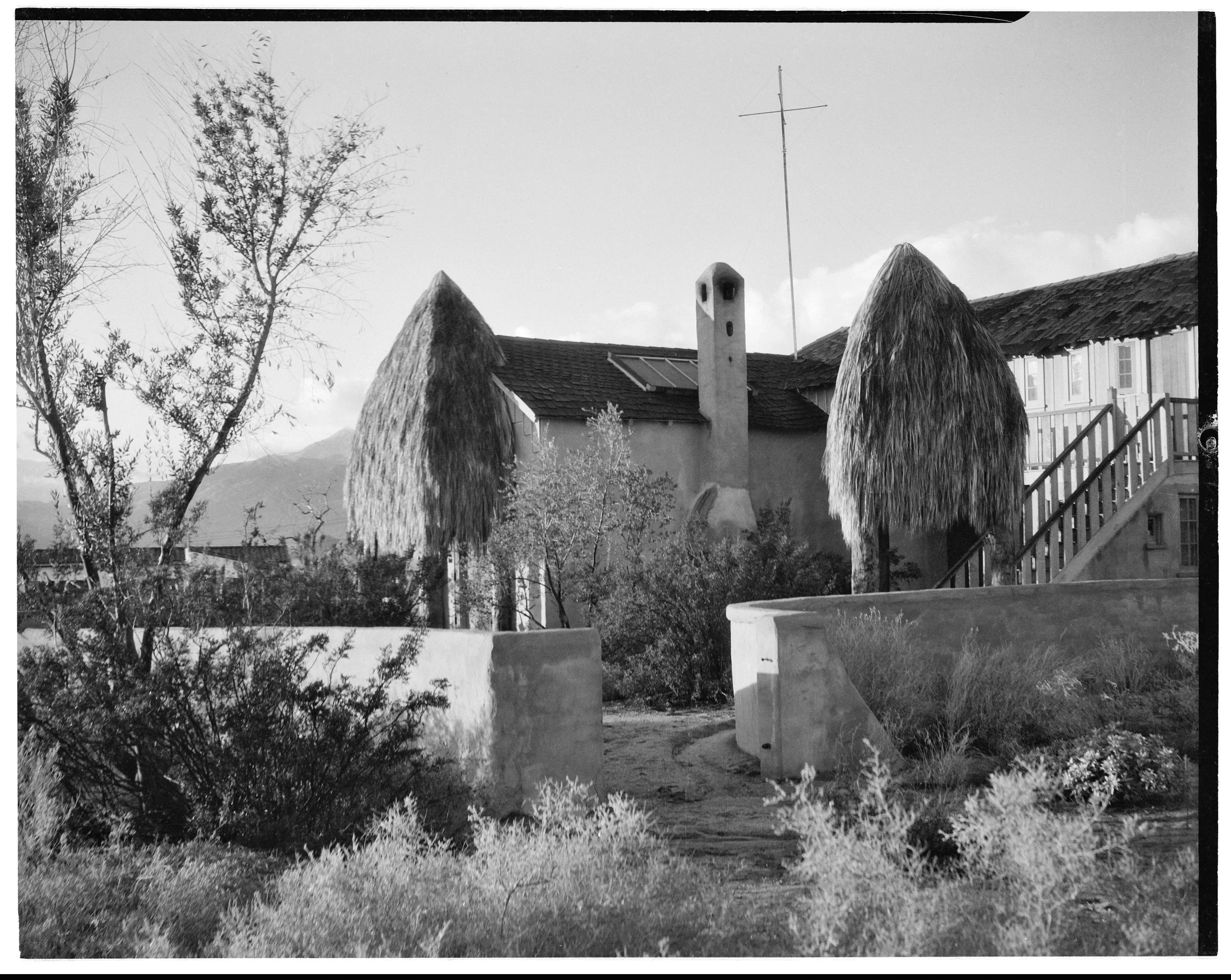  Ralph D. Cornell Papers, 1925–1972. Ralph D. Cornell Collection. 