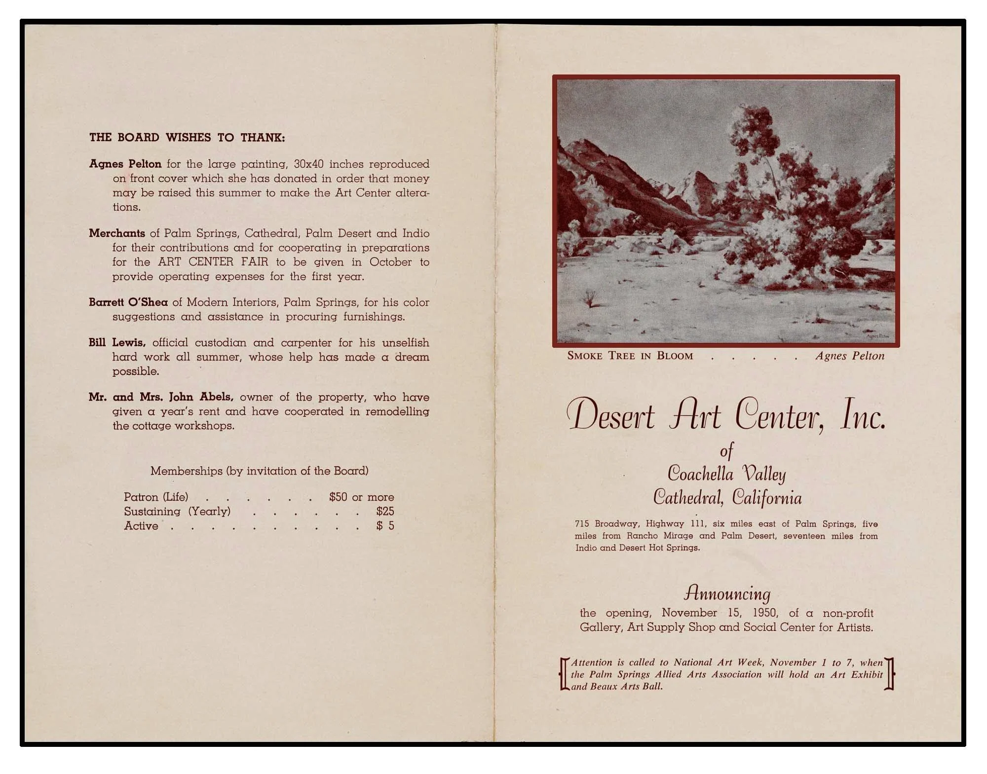 Peltons SMoke tree I own helped start.jpg