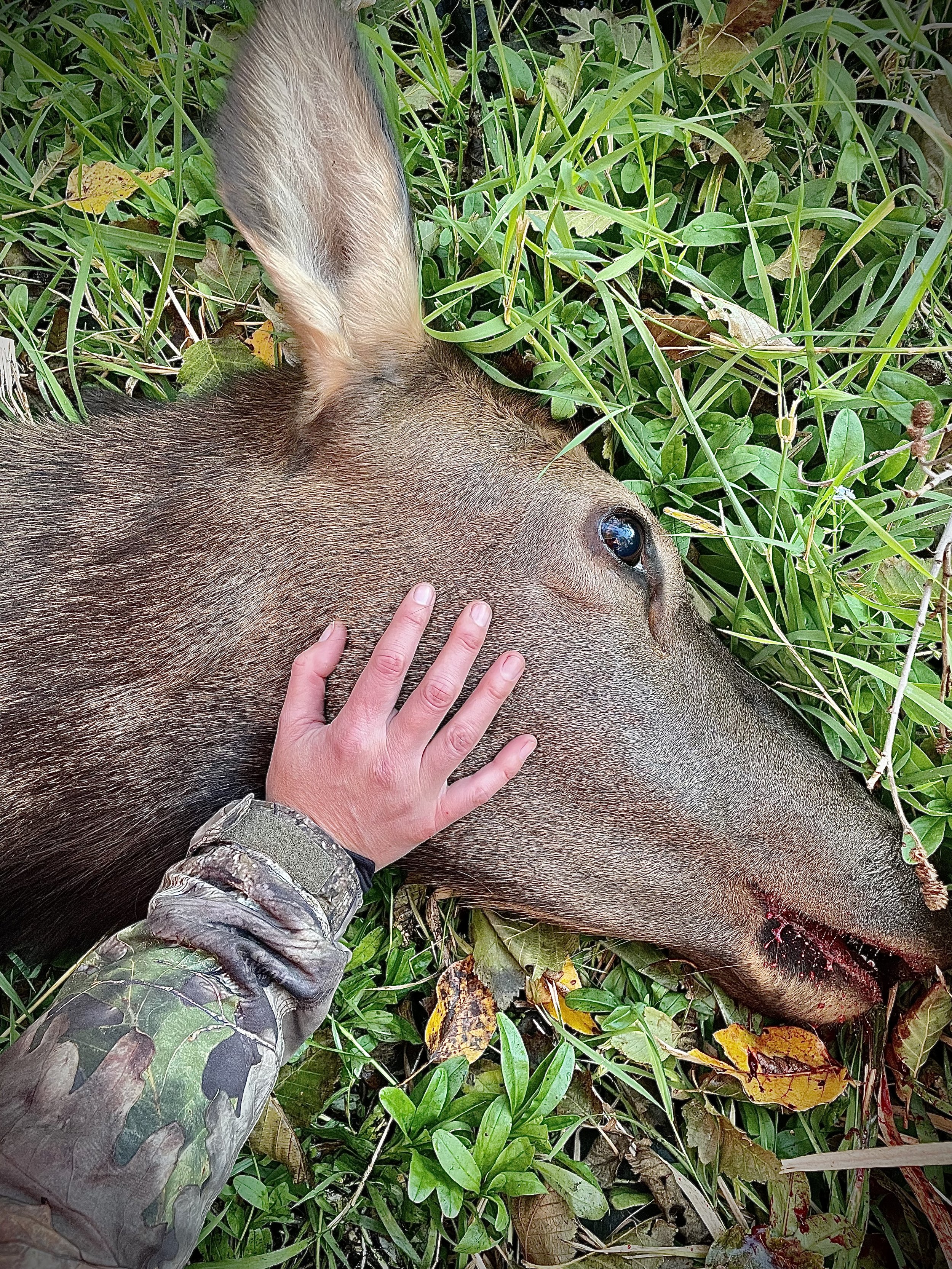 HUNT_Print_124.JPEG