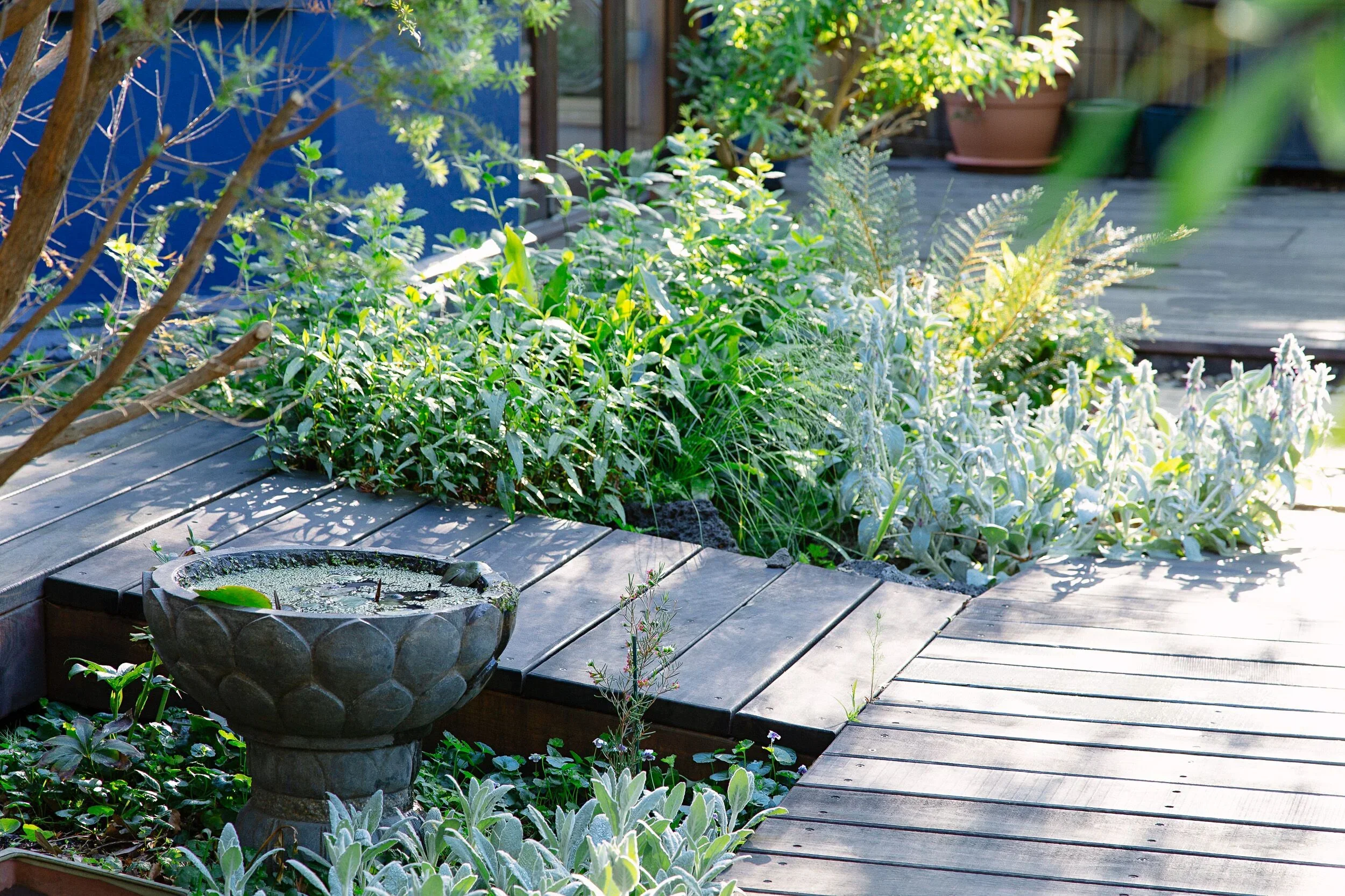 Pleasing and Productive: A Permaculture Garden Design Approach