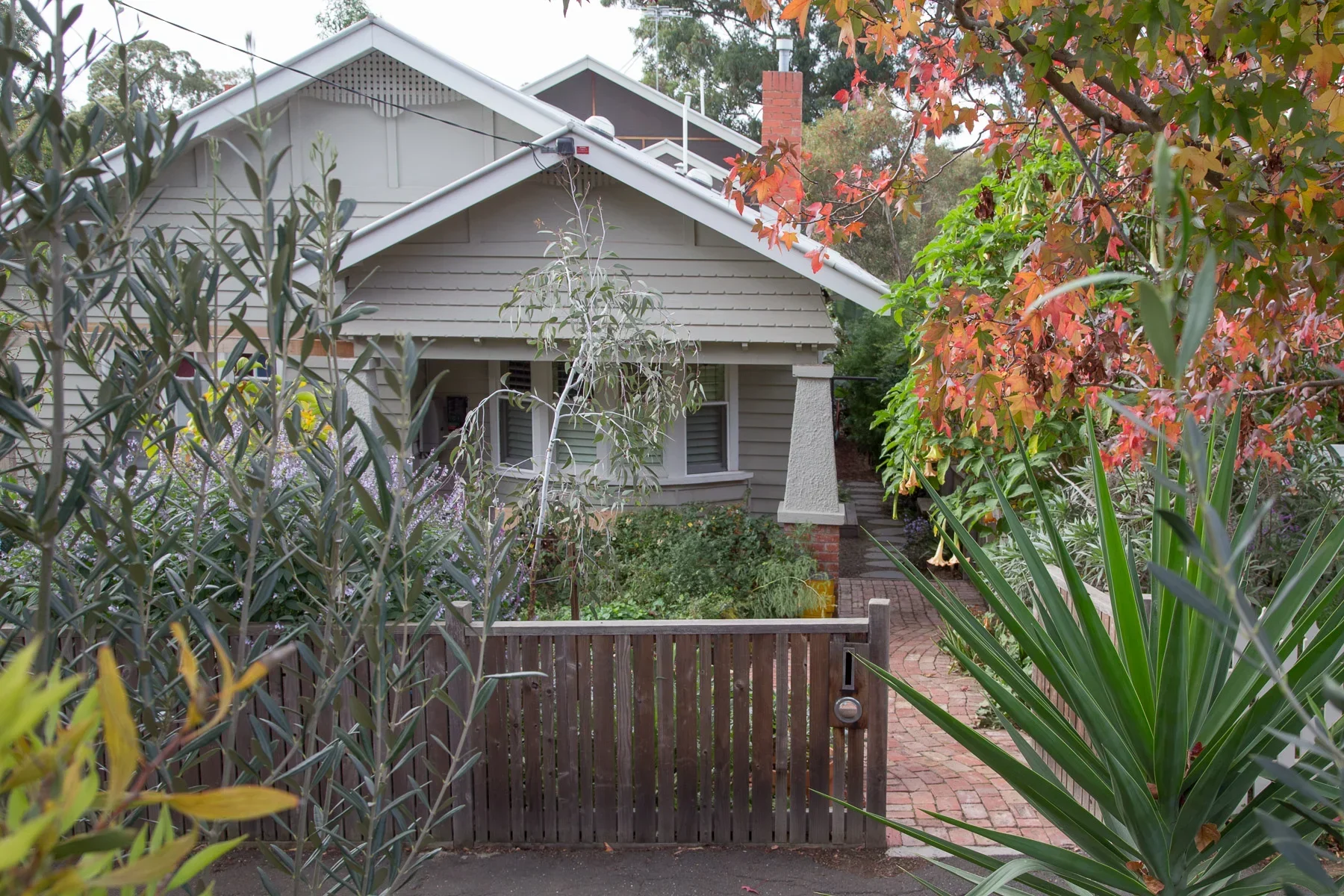 Renovate, Retrofit, Re-imagine: A Permaculture Approach to a Suburban Home Renovation