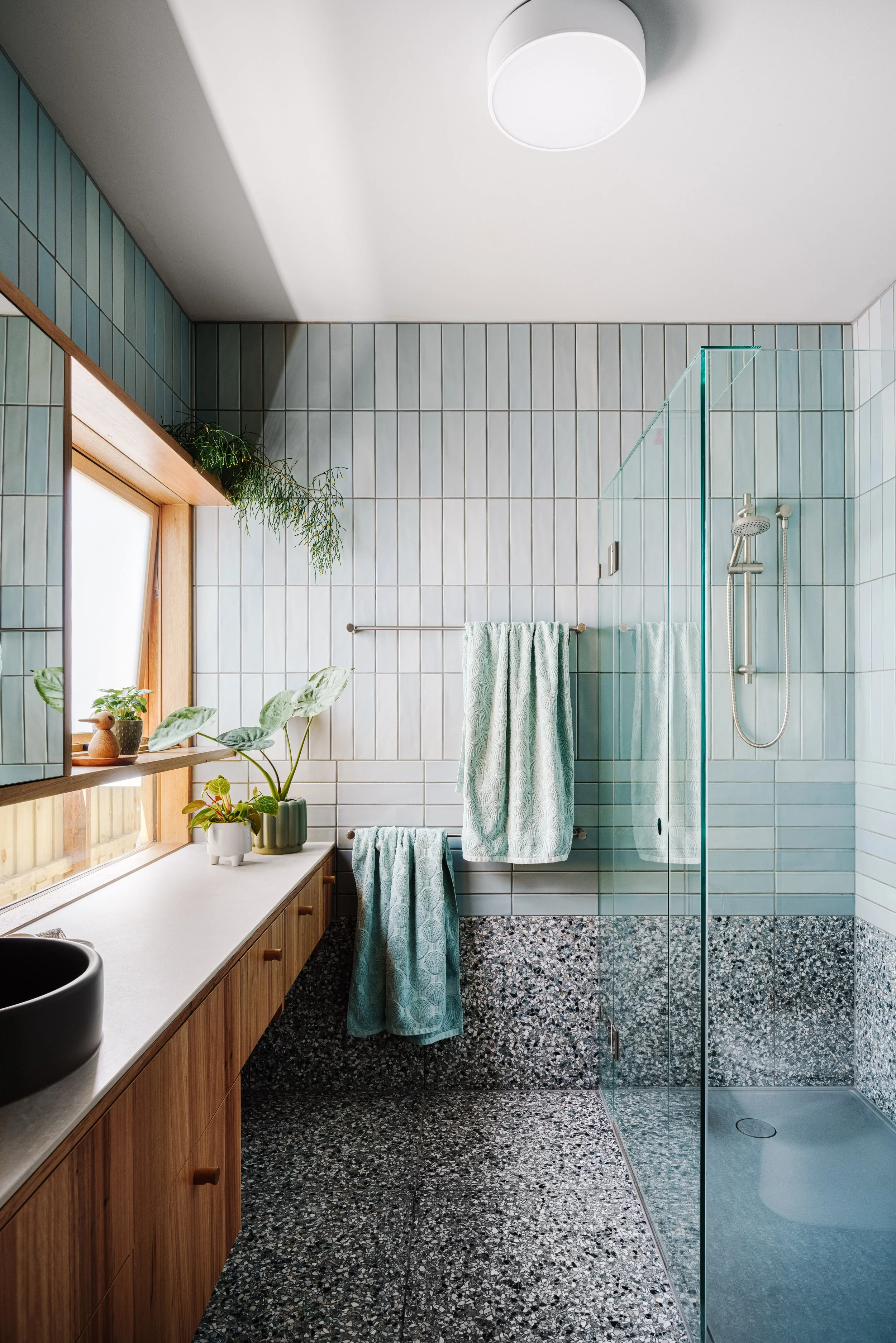 Blue Larnoo 