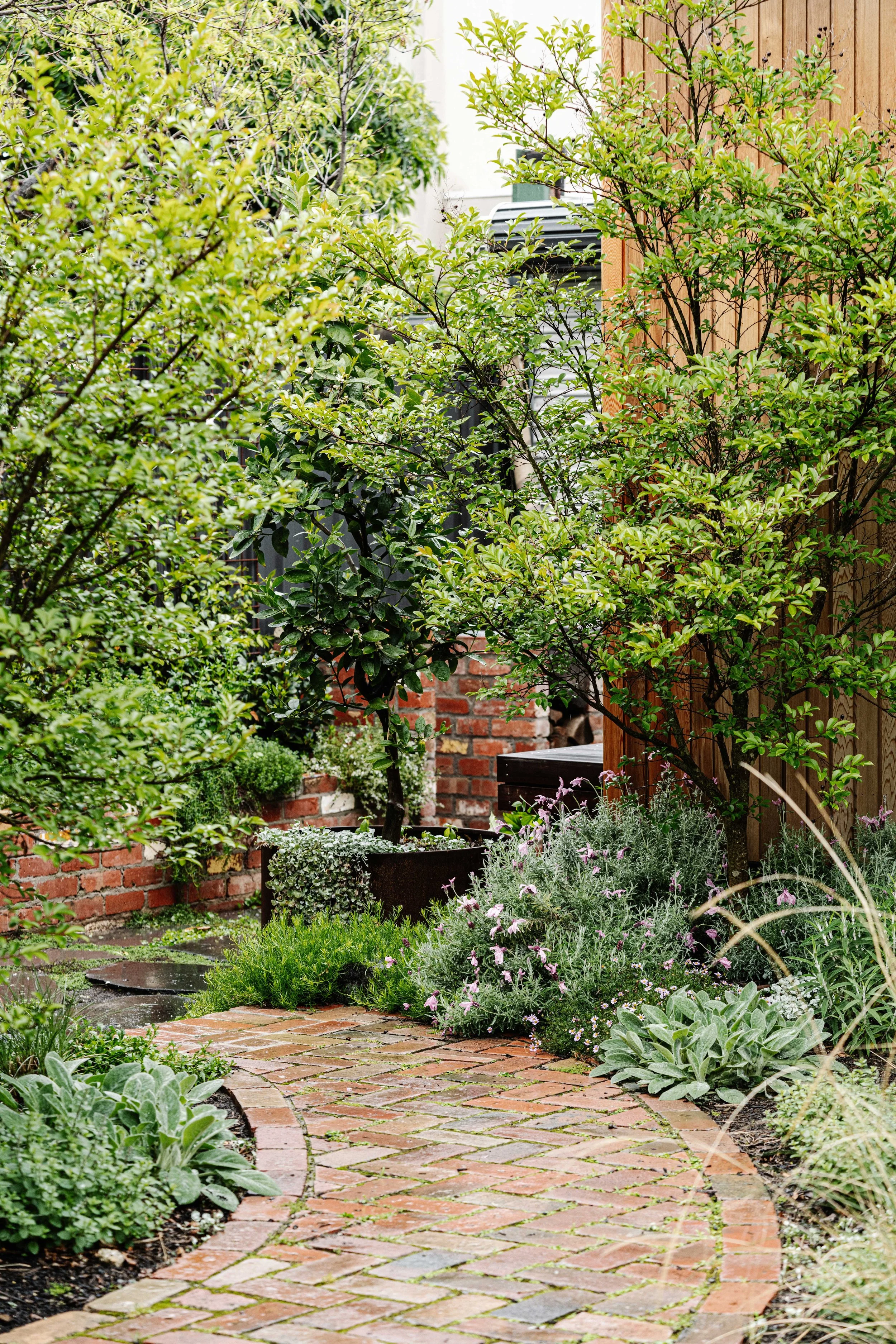 A winding brick garden path bordered by lush green plants and shrubs, with a wooden fence on the right and a brick wall on the left.
