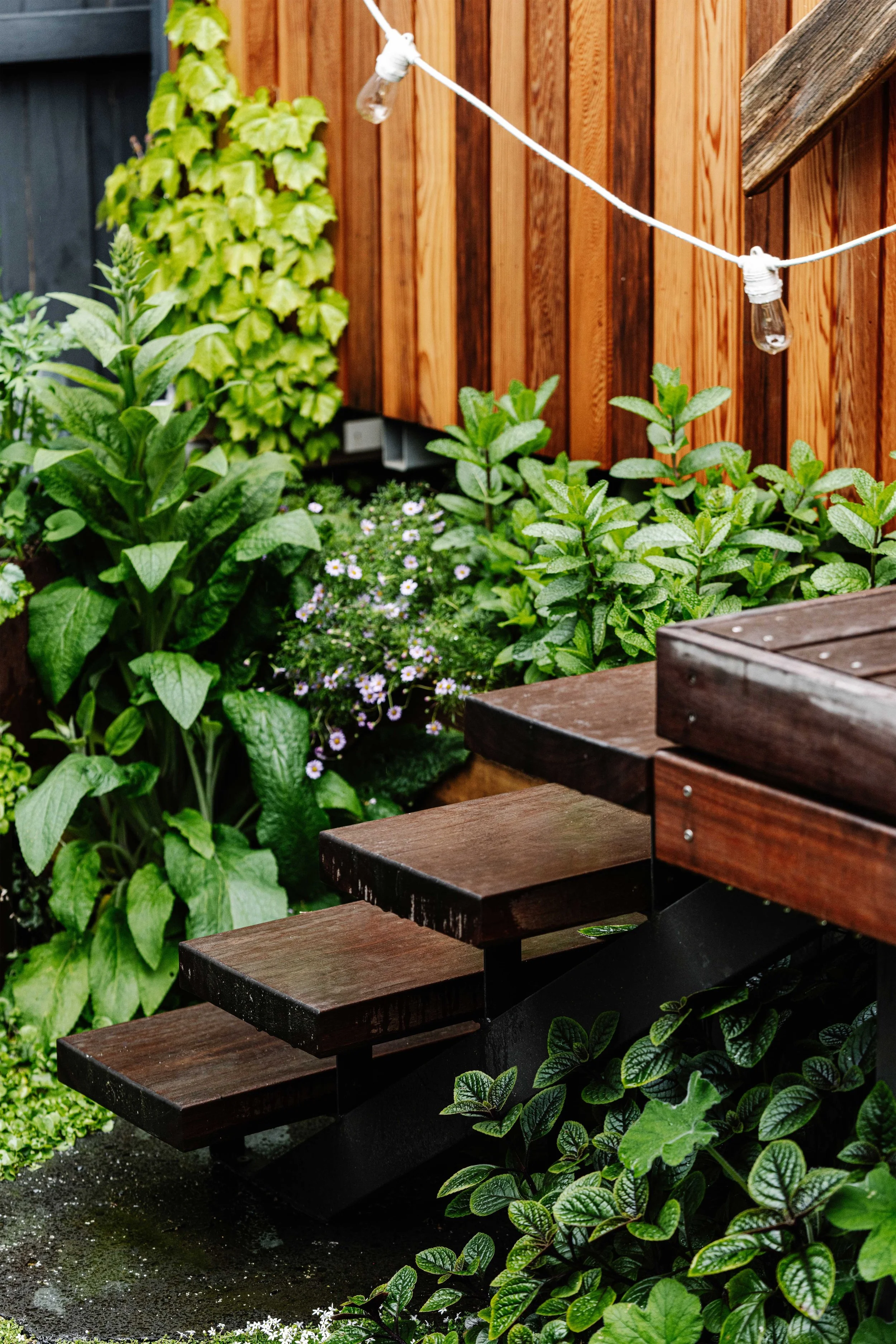 A wooden staircase leading up to a deck or porch area, surrounded by lush green plants and flowers, with string lights hanging above.