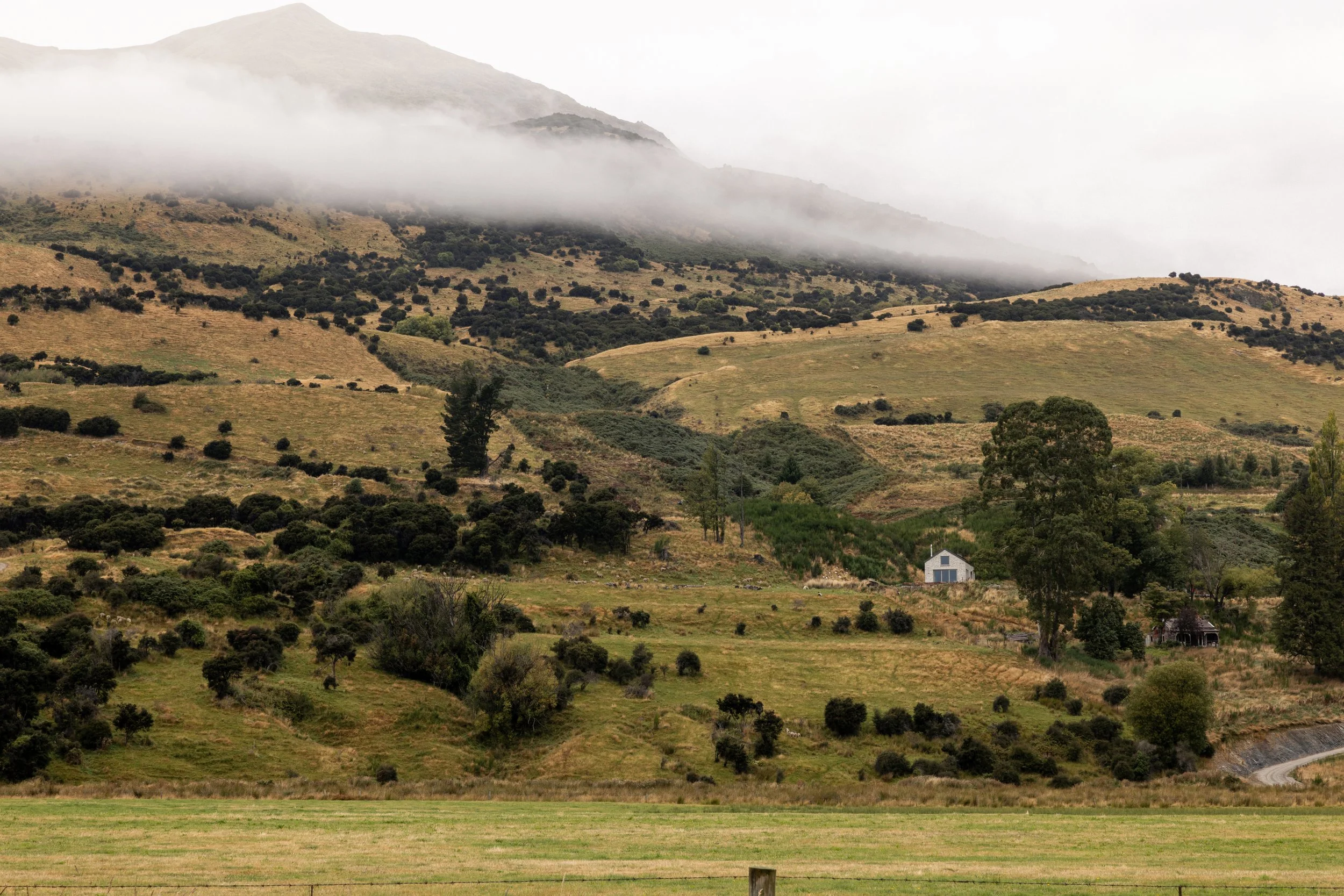 Magic_Cabin_V2_Gradient-1.jpg