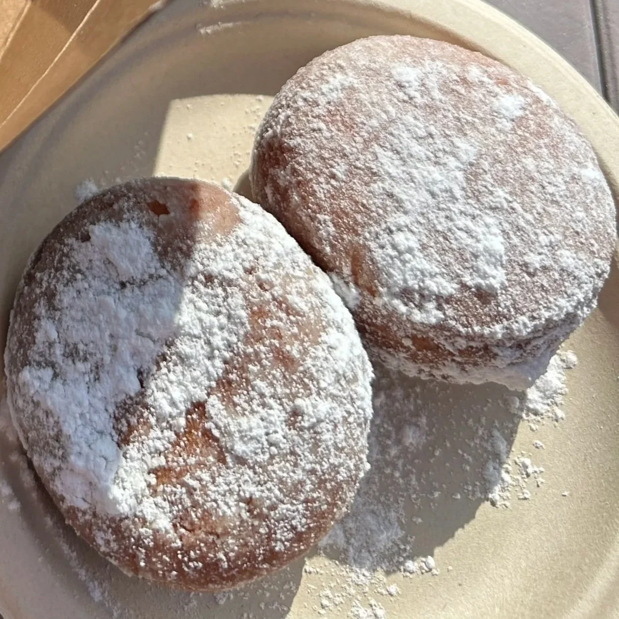 Two round donuts dusted with powdered sugar on a white plate.