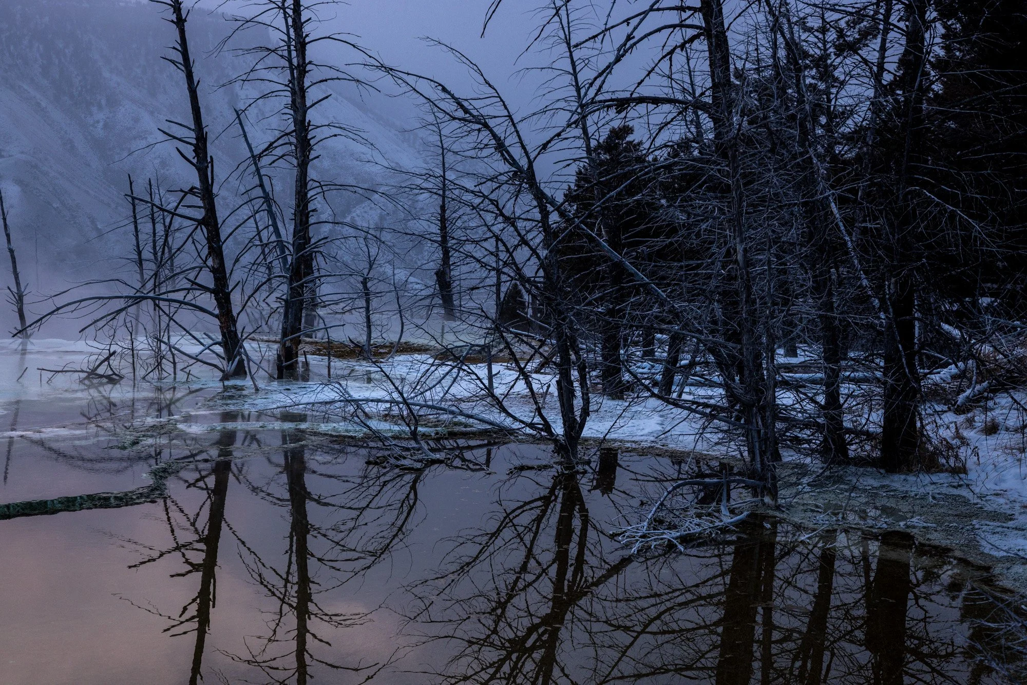 mammoth-yellowstone-winter-hot-spring.jpg