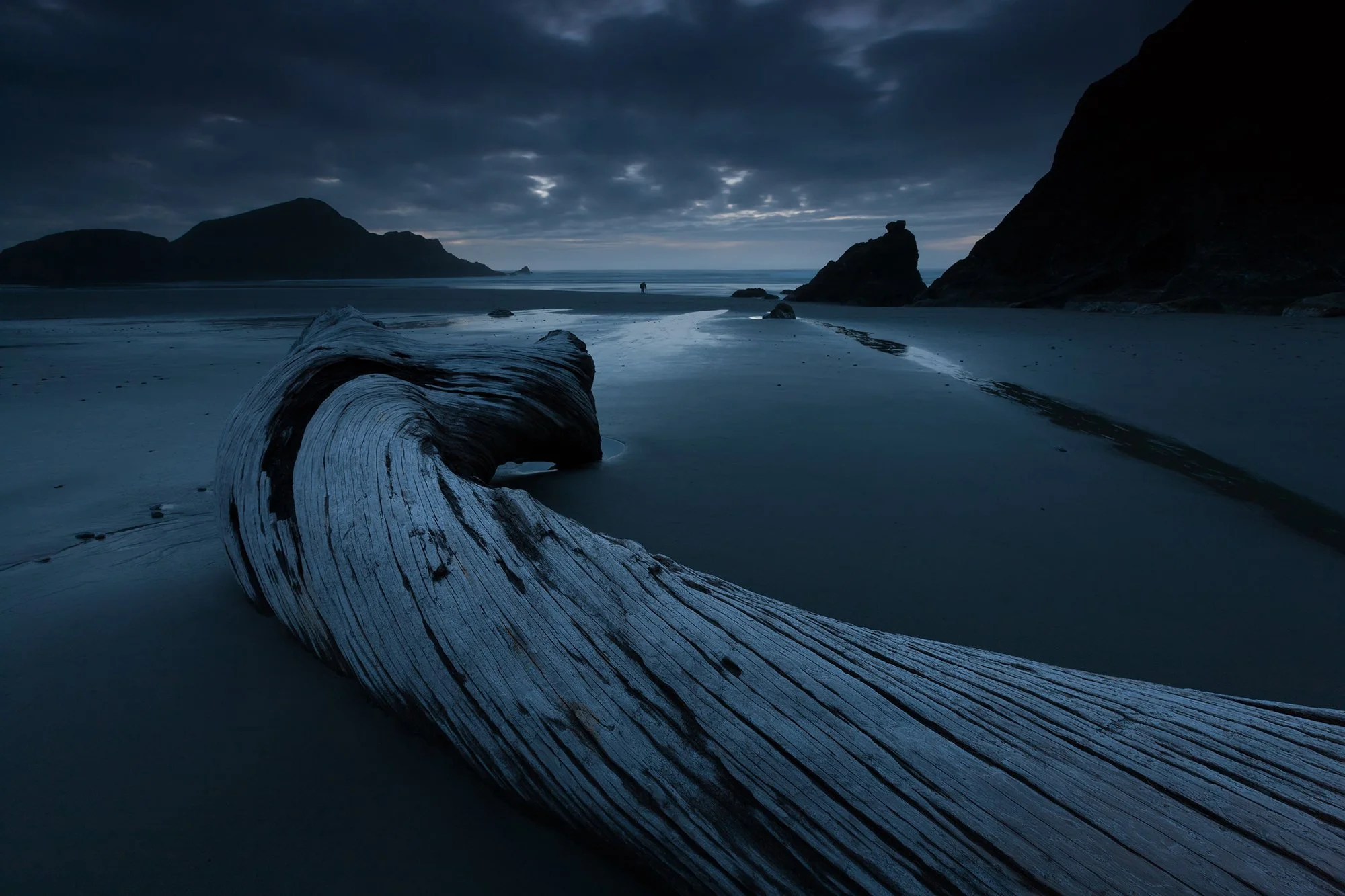 oregon-coast-driftwood.jpg