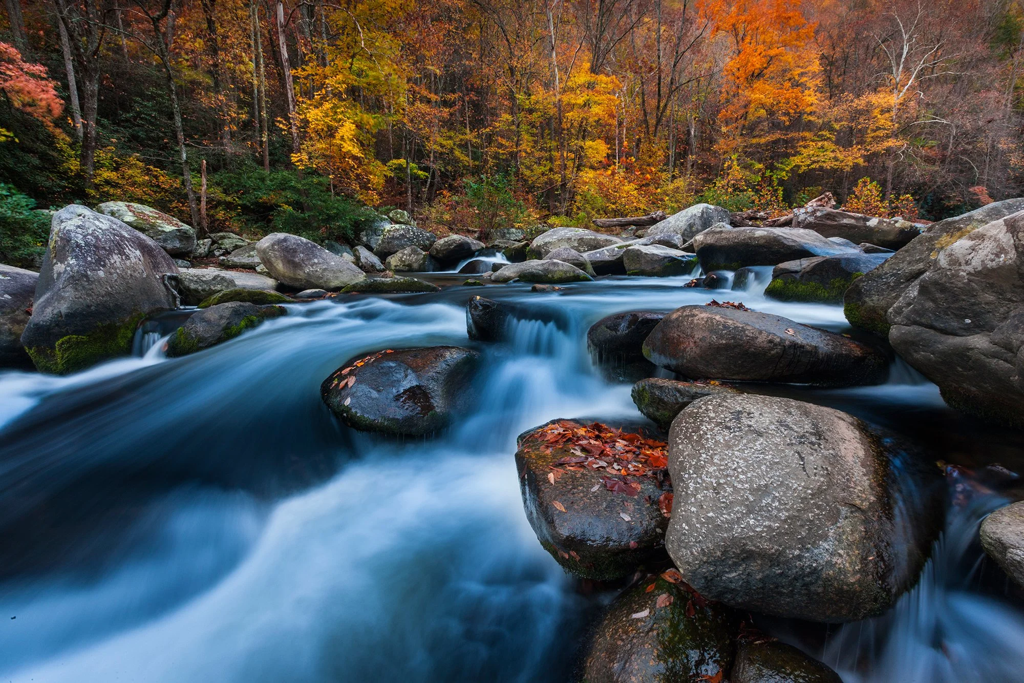 smokies-fall-river.jpg