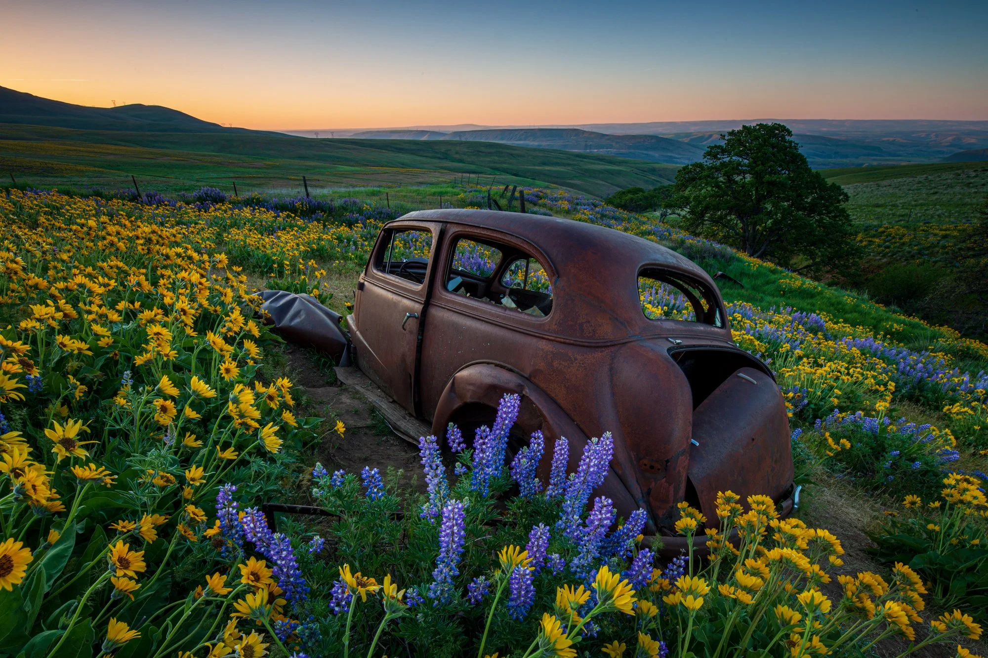 oregon-car.jpg