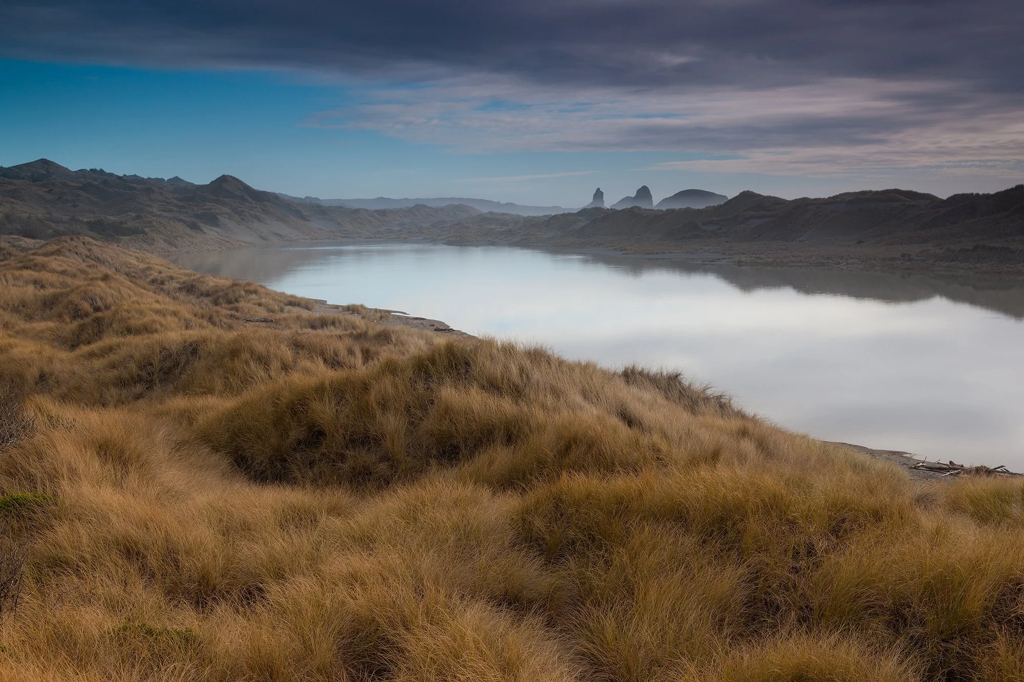 oregon-beach-grass.jpg