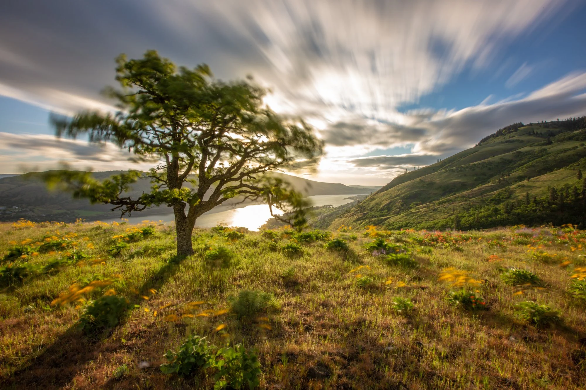 columbia-river-gorge-oregon-photography.jpg