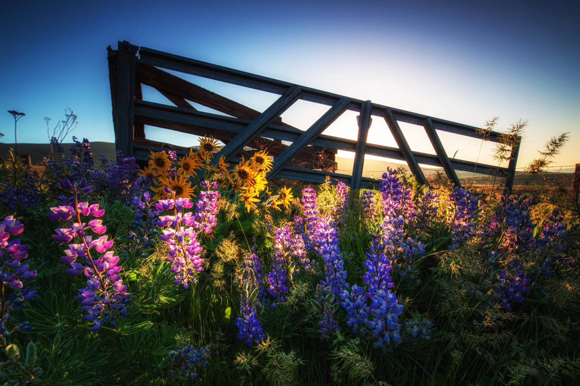oregon-columbia-river-gorge.jpg