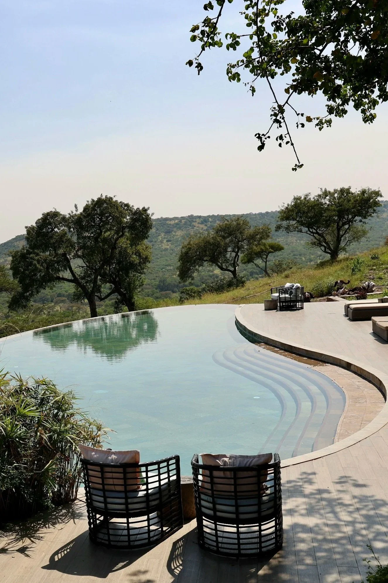 Infinity pool with curved edge, surrounded by lounge chairs and lush green trees, overlooking a hilly landscape under a clear sky.