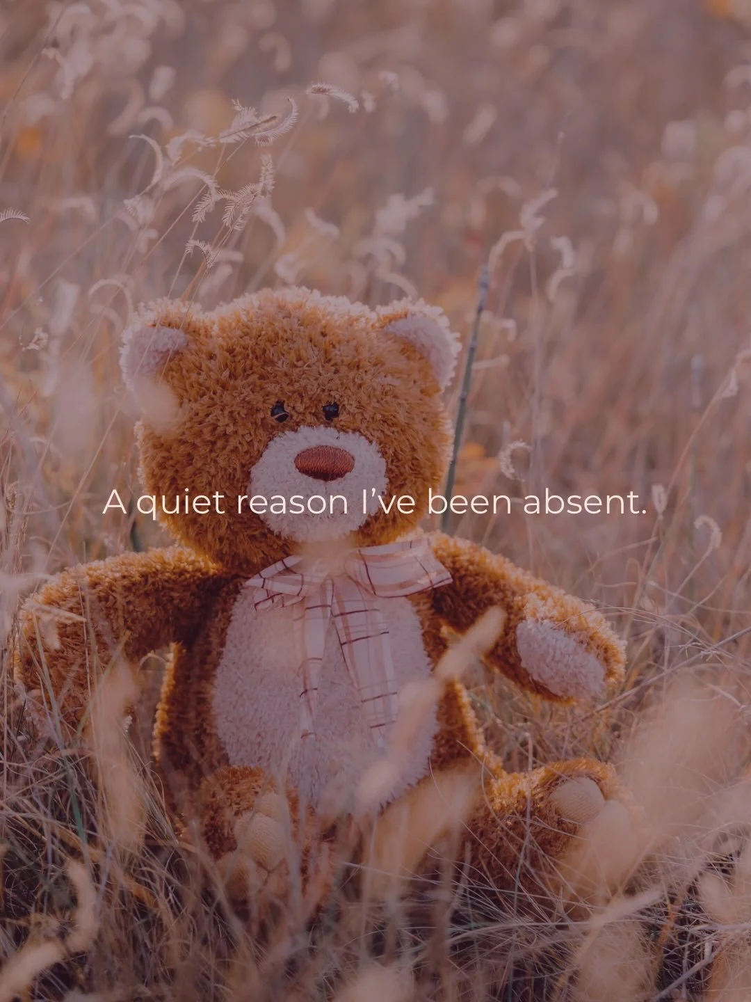 This has been a quiet month for me.
Grieving, processing, and slowly finding my footing again.

If you&rsquo;ve walked through miscarriage&hellip; you&rsquo;re not alone in it.

Strength doesn&rsquo;t always look like pushing forward.
Sometimes it lo