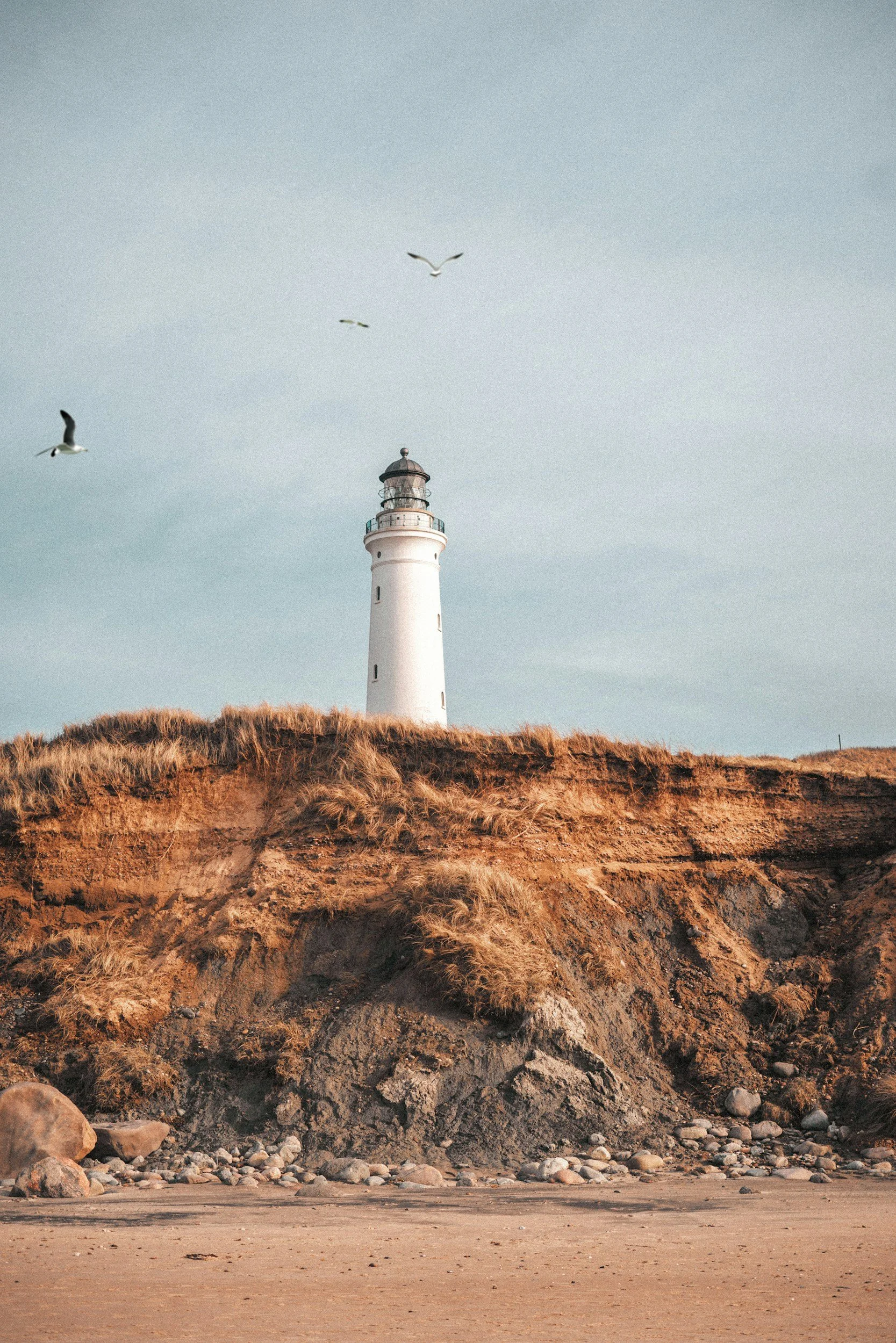 A lighthouse on a sandy beach with grassy cliffs and seagulls flying in the sky.