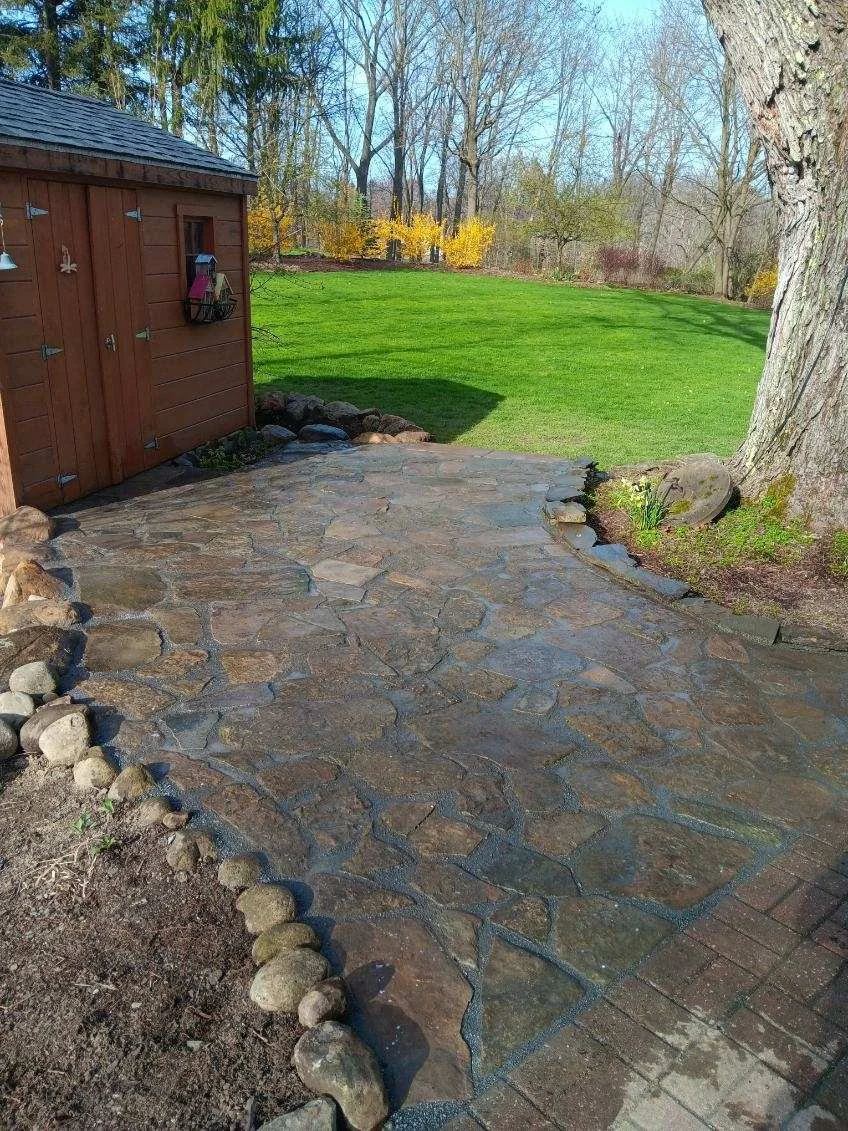A backyard with a stone patio, a wooden shed, a large tree, and a green lawn with trees and bushes in the background.