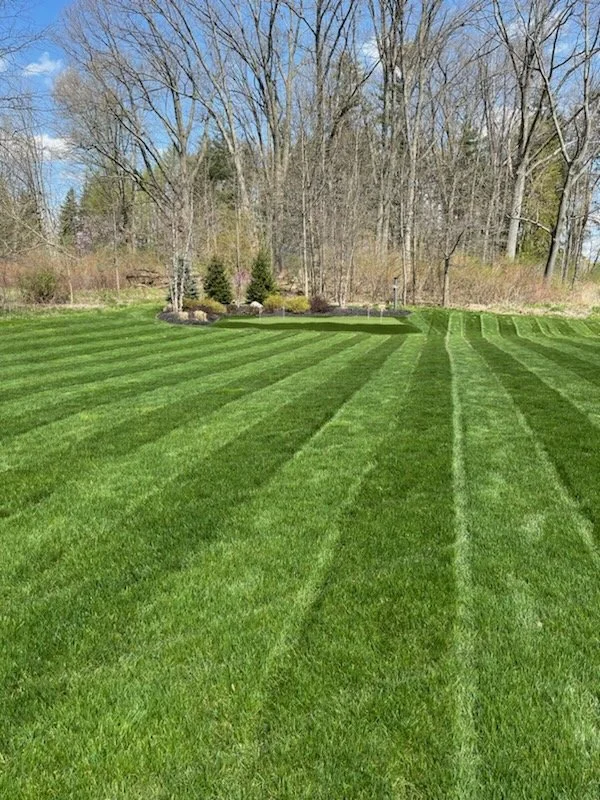 Well-maintained backyard lawn with freshly cut, striped green grass, surrounded by trees and shrubs under a partly cloudy sky.