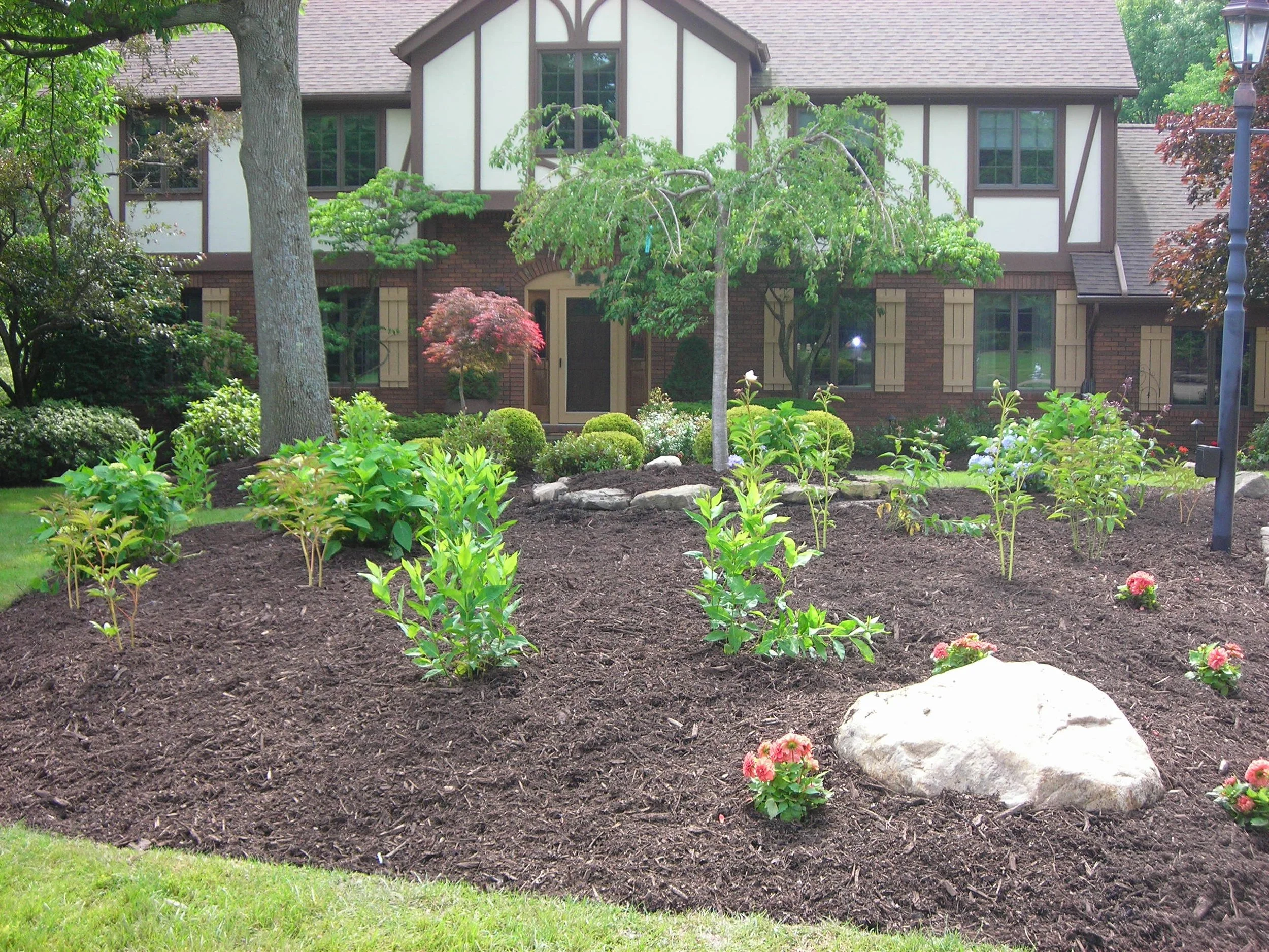 Front yard garden in front of a large house, with plants, flowers, shrubs, rocks, trees, and a lamp post.