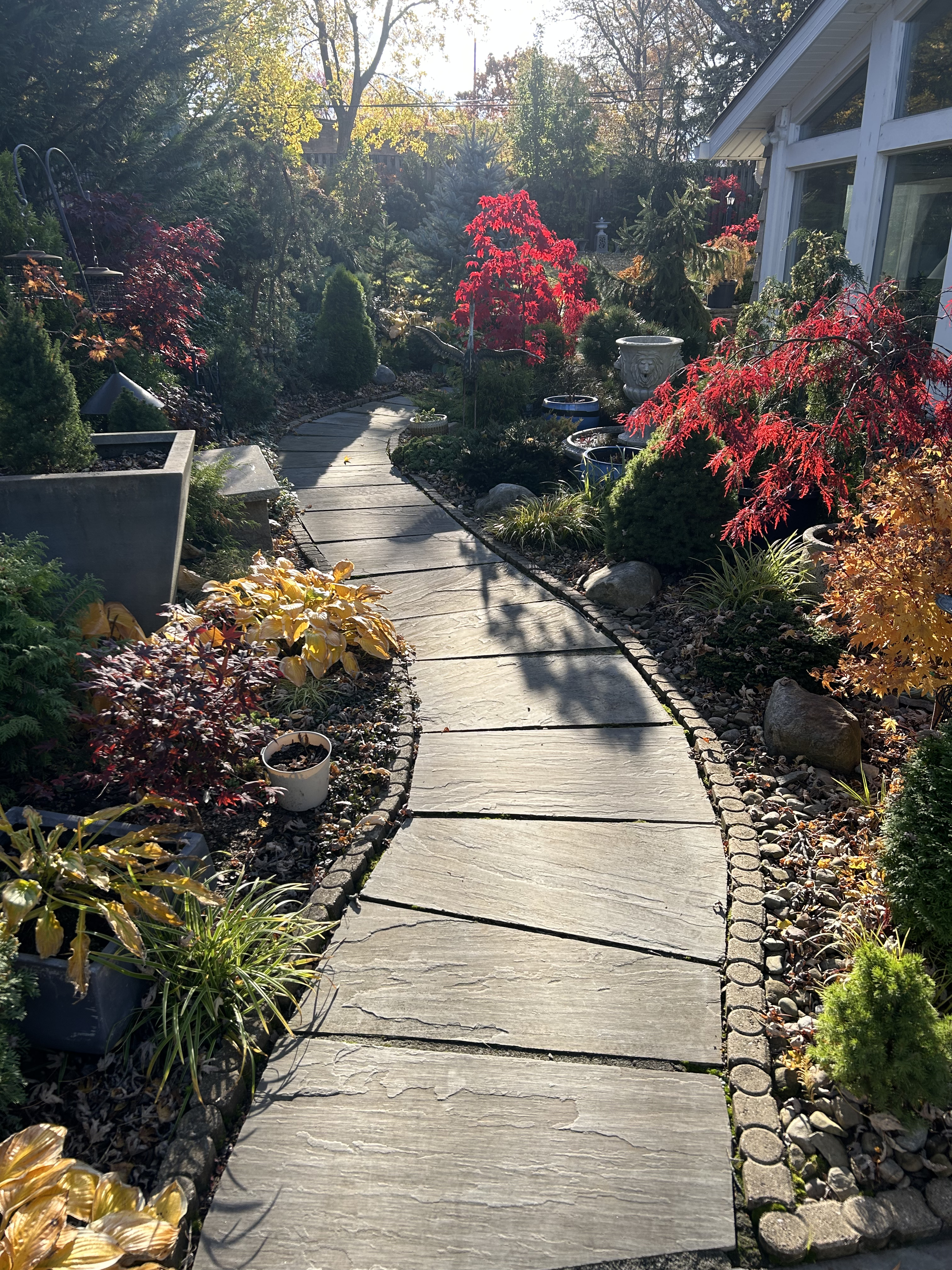 A winding garden pathway with decorative stone edging, surrounded by colorful garden plants and trees during daytime with sunlight.