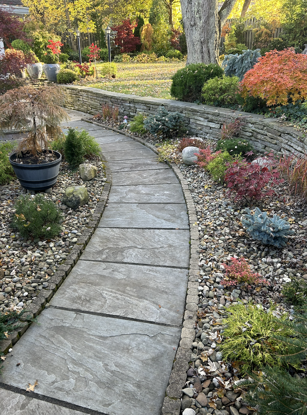 A paved garden pathway curving through a landscaped yard with colorful autumn foliage, small shrubs, rocks, and a stone retaining wall.