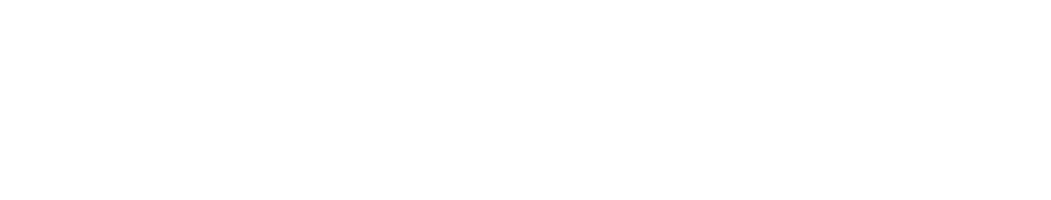 BEEF IT UP LTD