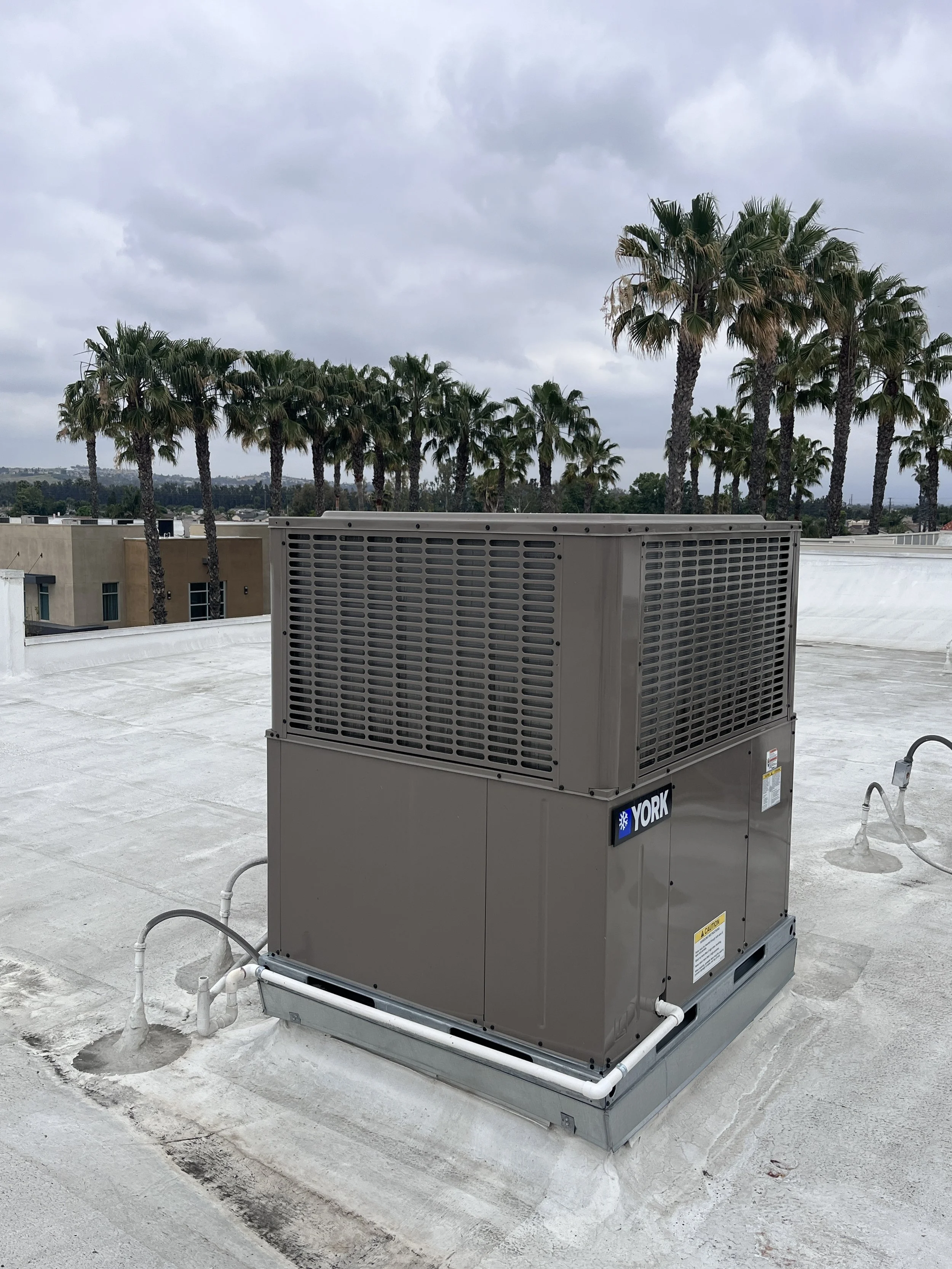 Commercial air conditioning unit on a rooftop with palm trees and cloudy sky in background.