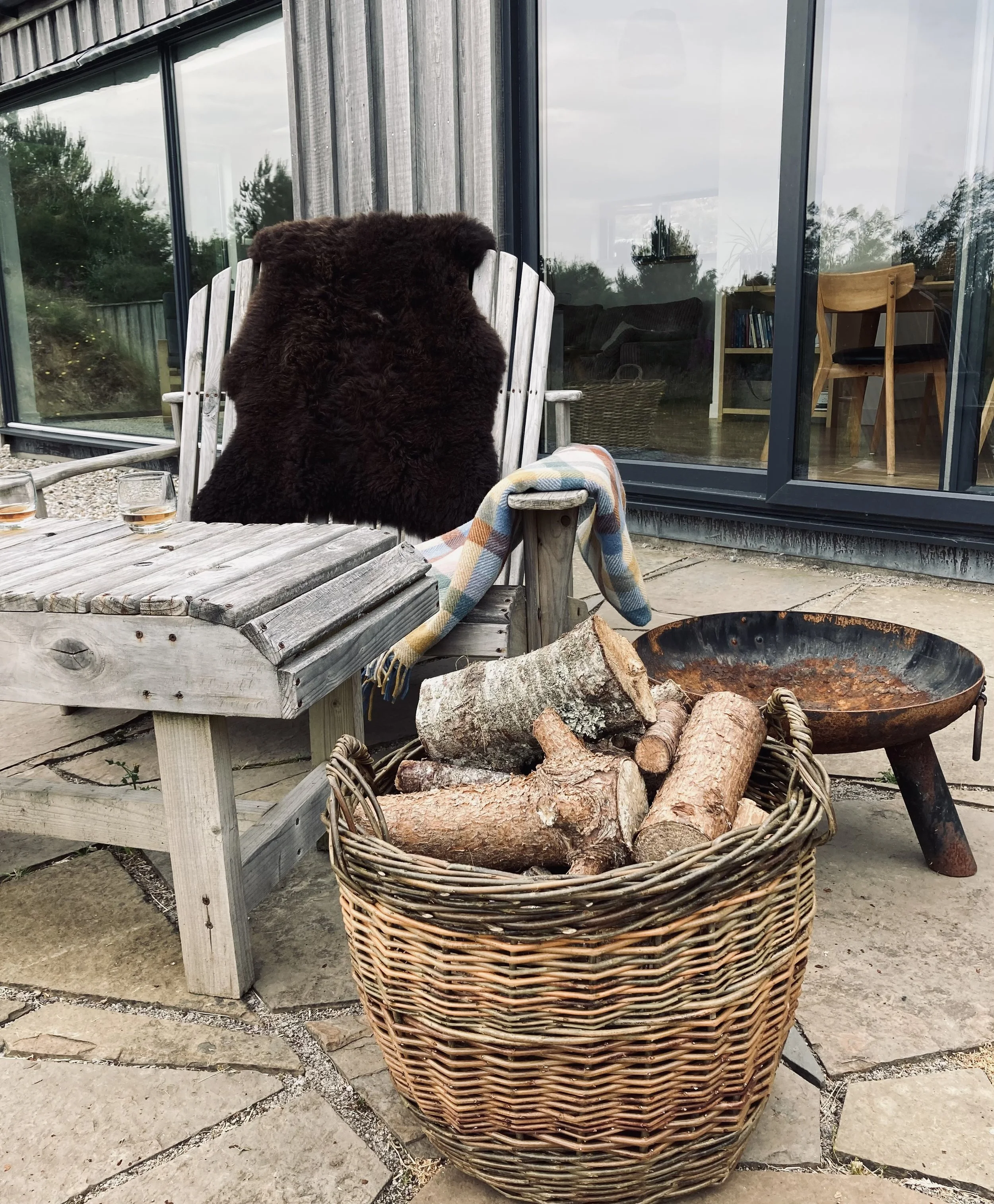 Skyns blanket and logs.jpg