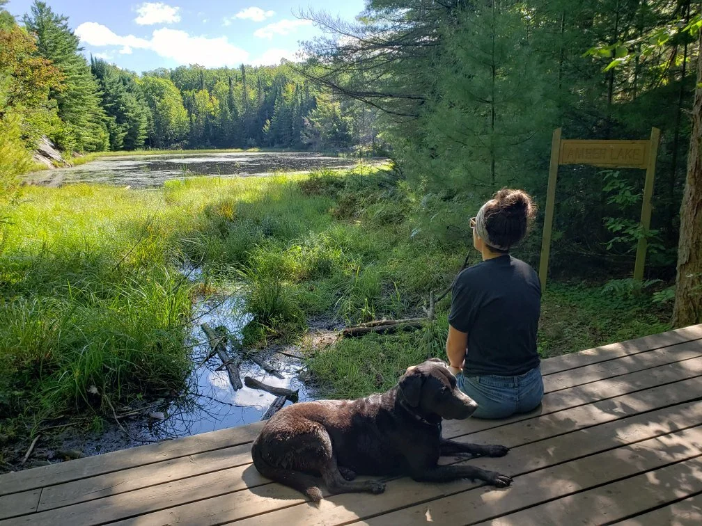 A woman and a dog sitting on a wooden dock beside a pond in a forest with tall trees and a clear blue sky.