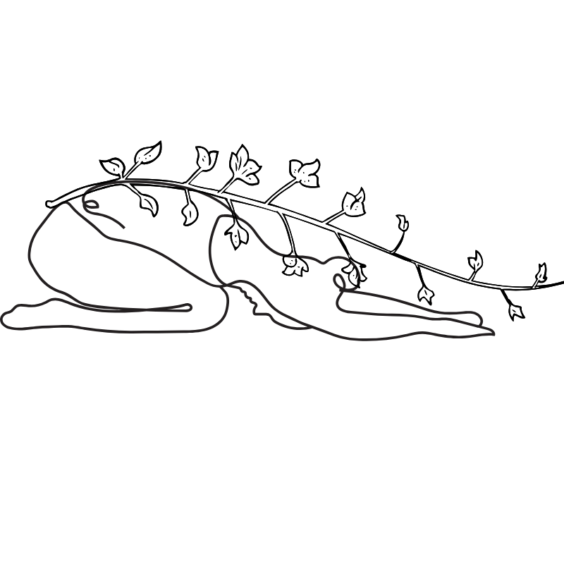 Outline sketch of a person doing yoga, in child's pose, foliage tracing their spine.