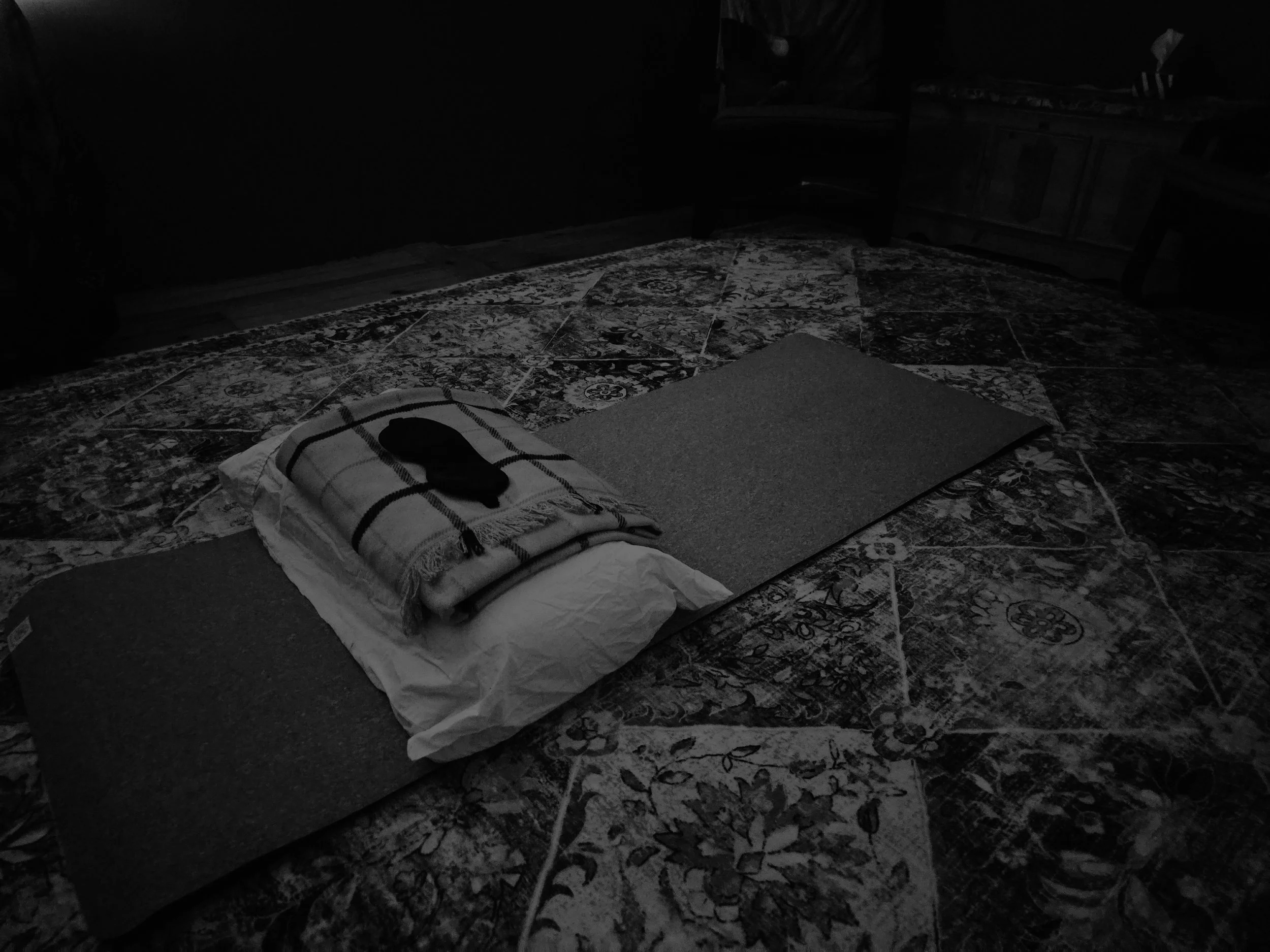 A mouse on a folded blanket on a bed, with a yoga mat and a rug in a dimly lit room.