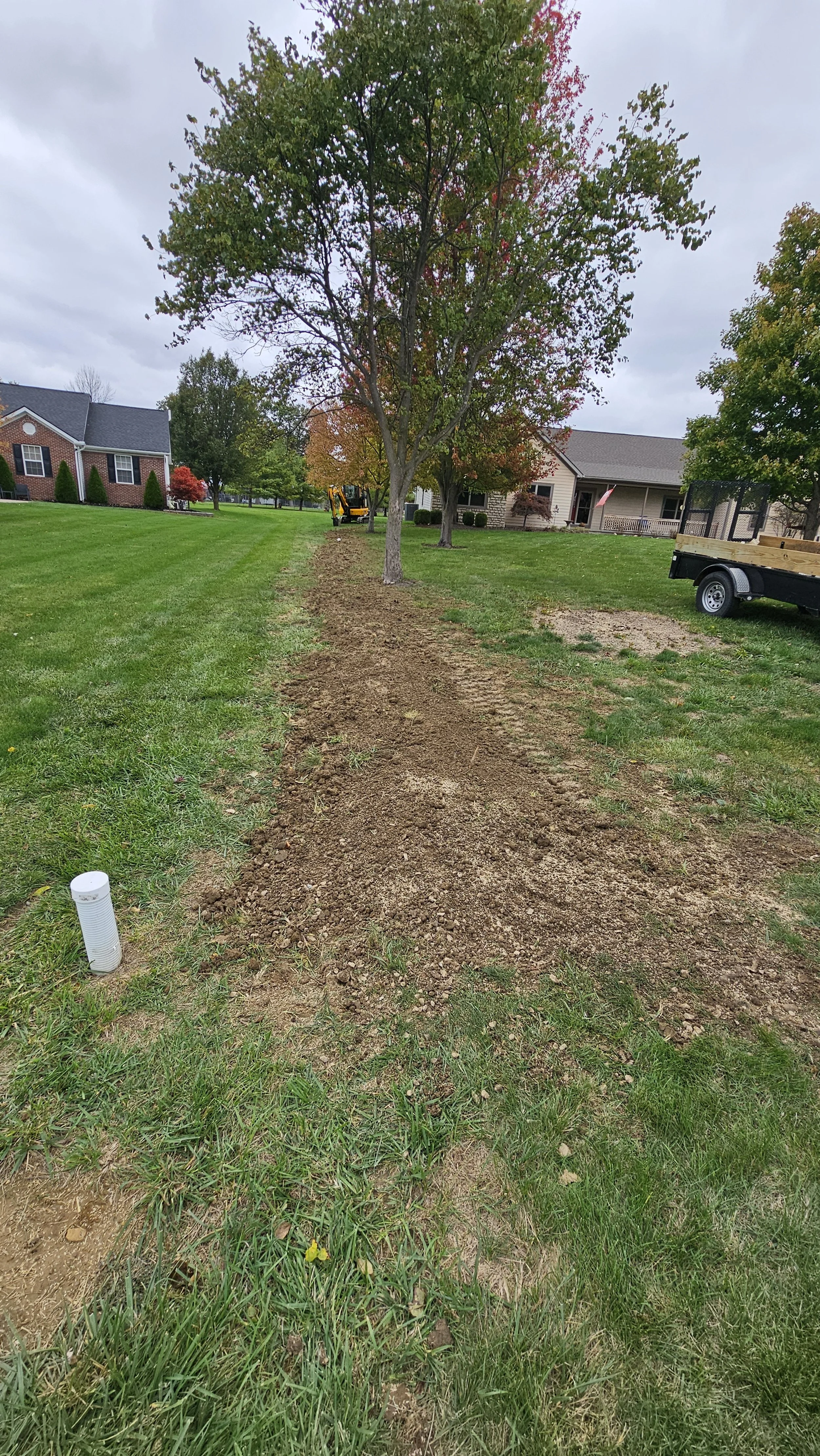 A row of trees along a grassy lawn, with a small construction vehicle and trailer in the background, and a partially dug trench along the ground in the foreground.