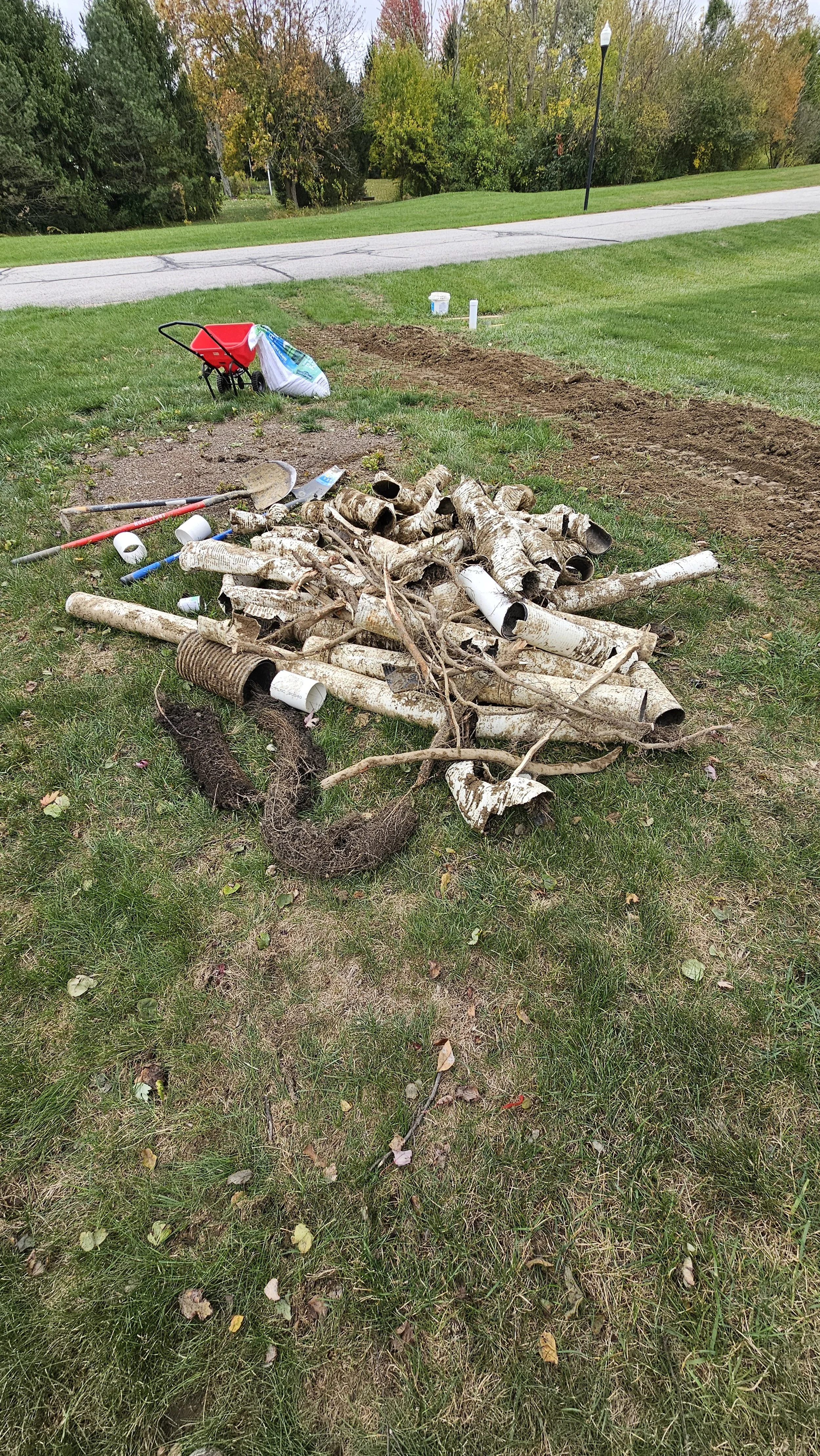 A pile of discarded tree branches and logs with some white PVC pipes and gardening tools on a grassy lawn, near a disturbed patch of soil, with a paved road, trees with fall foliage, and streetlights in the background.