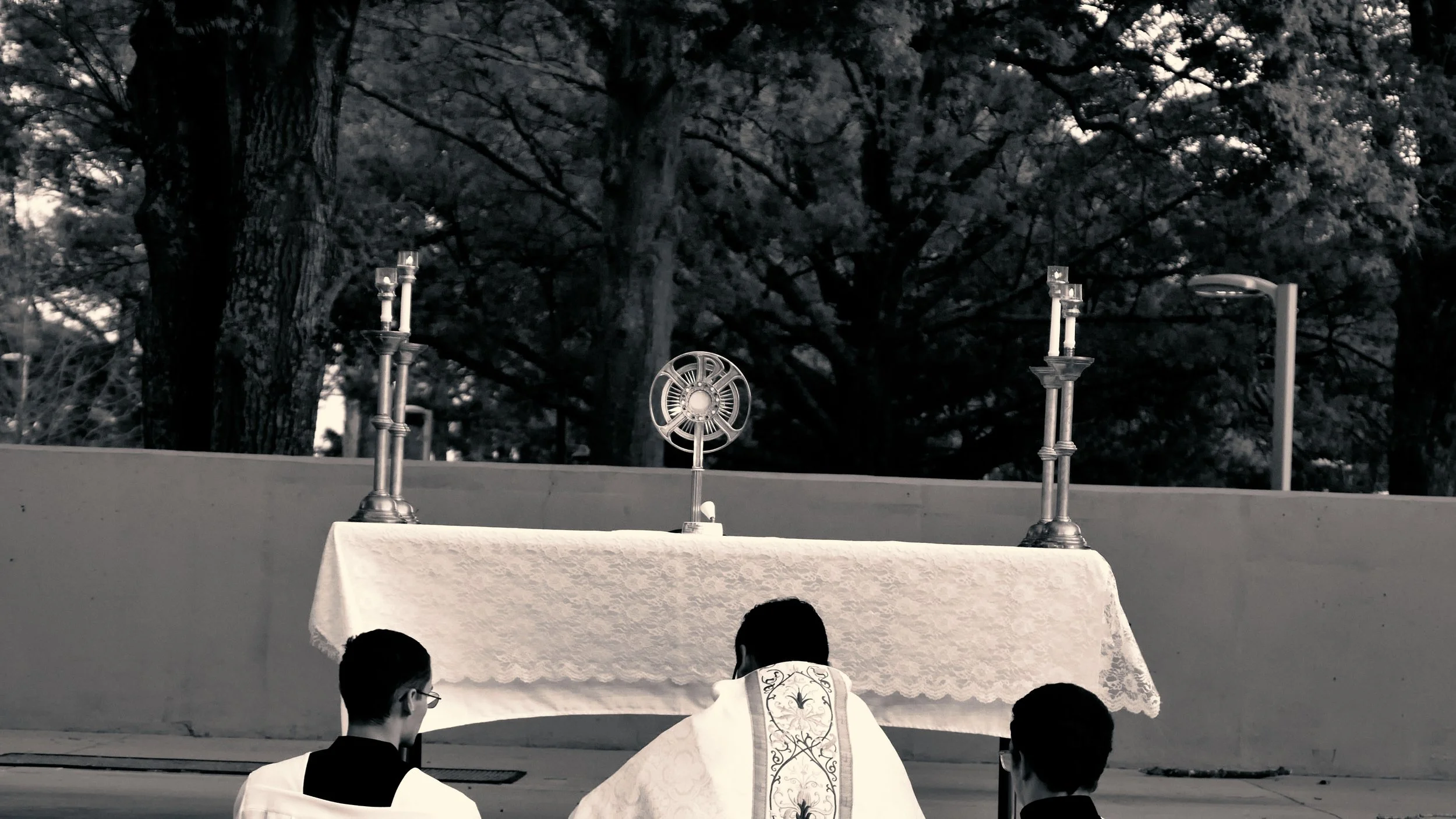 Adoration 5.jpg