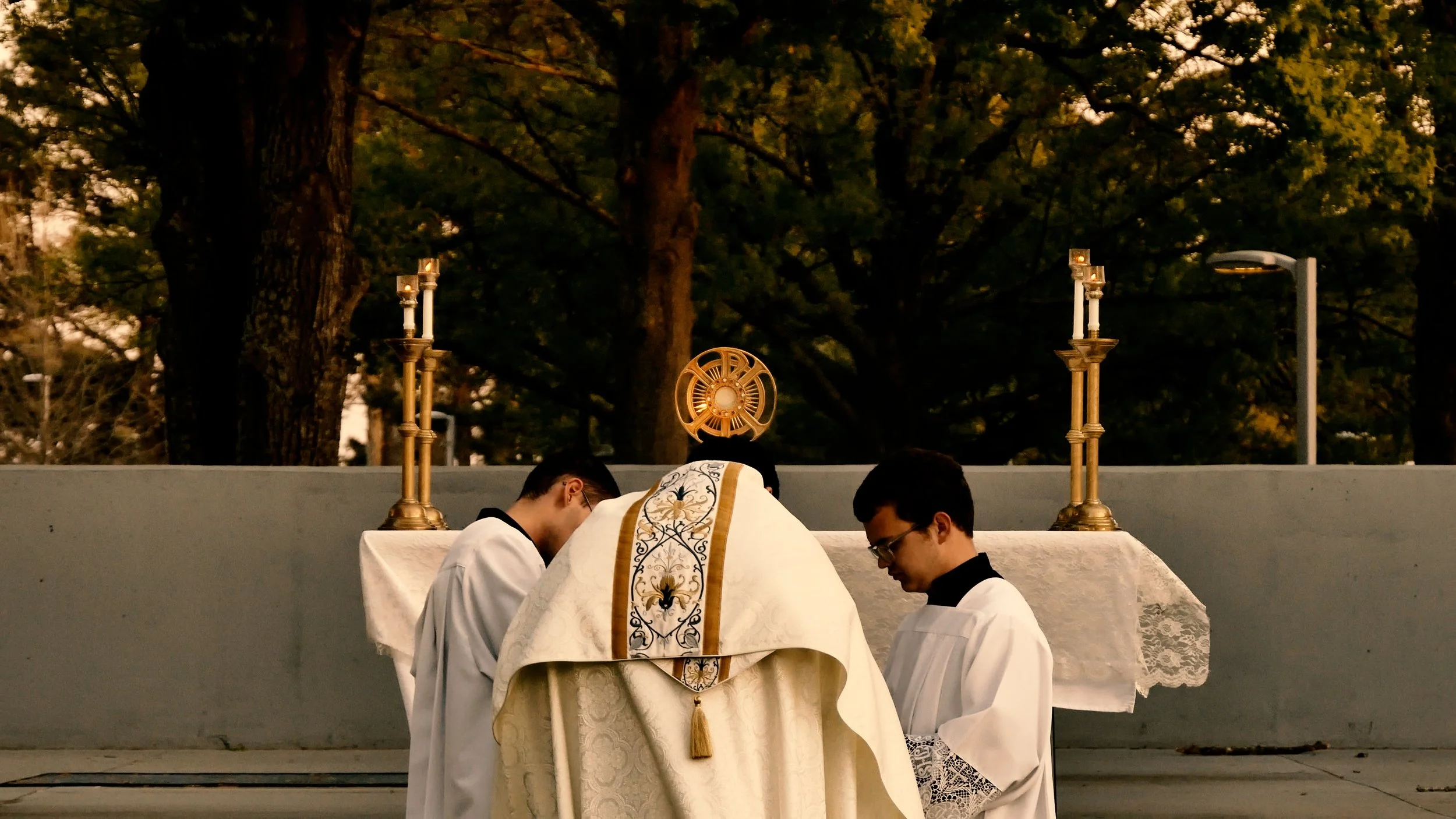 Adoration 3.jpg