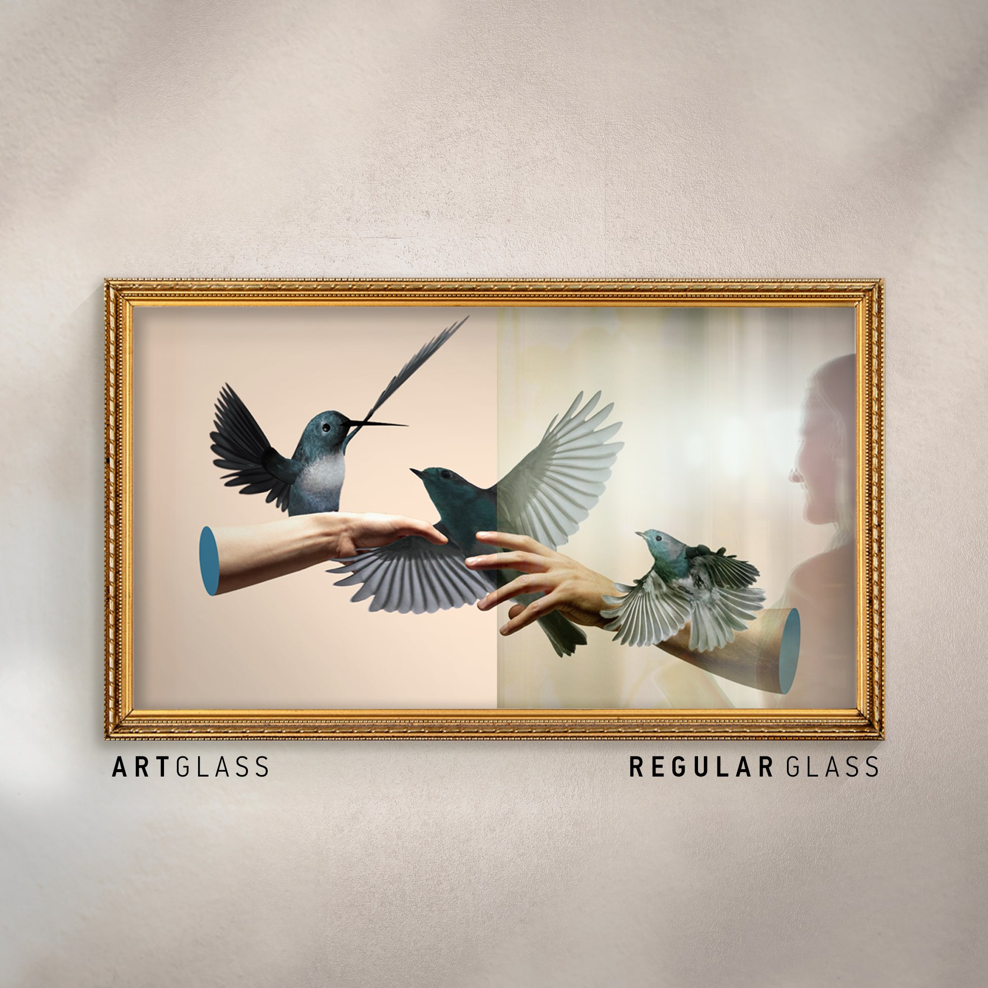 Comparison of a bird illustration seen through art glass versus regular glass on a framed picture; silhouette of a woman is in the background.