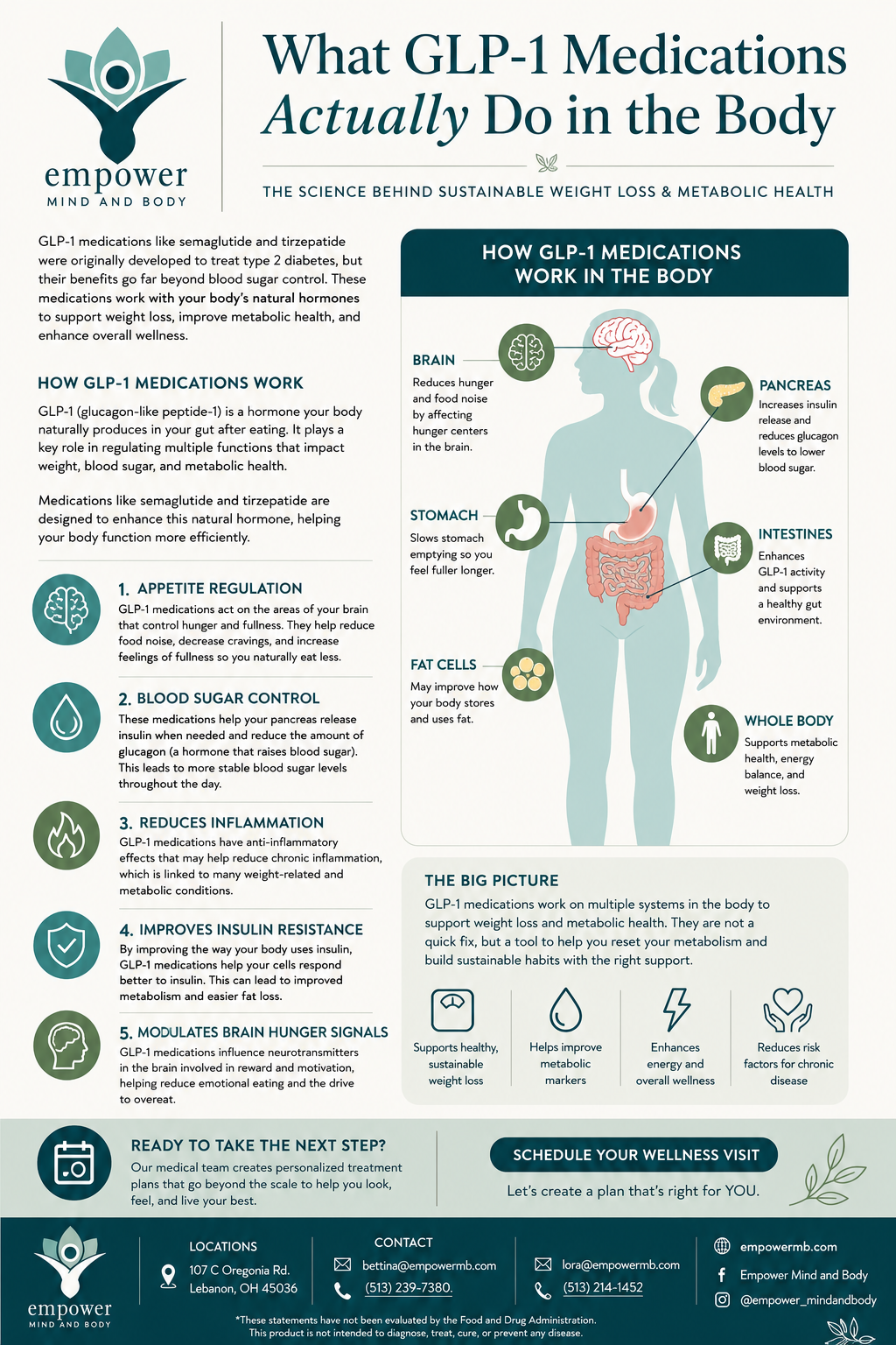 What GLP-1 Medications Actually Do in the Body
