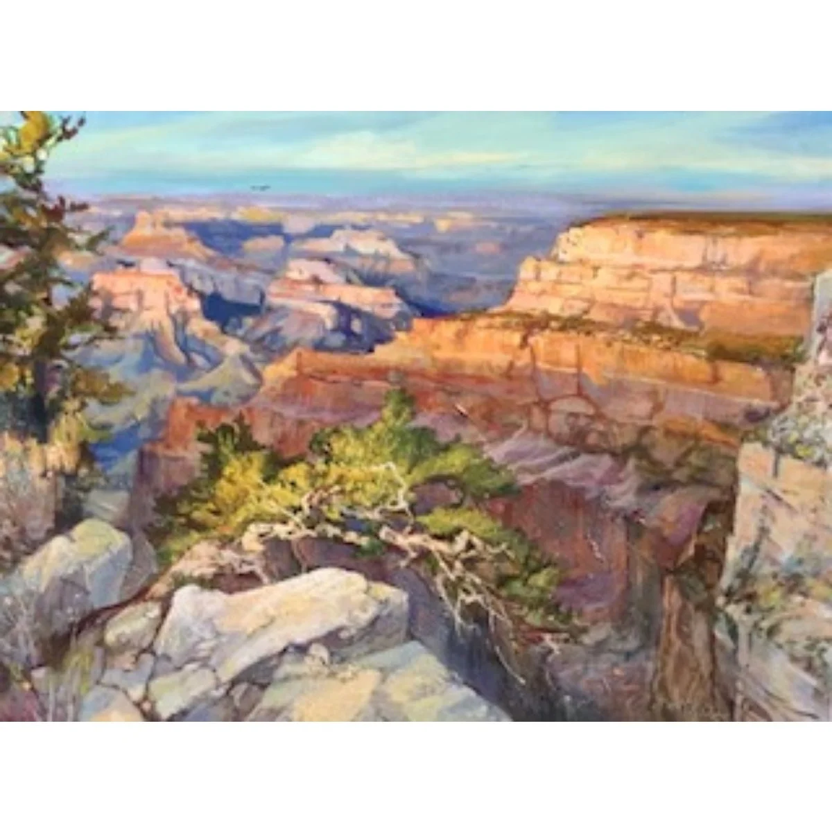 “Canyon  Pine” - 30”x40” - Oil on Canvas