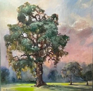 “Lone Oak” - 36”x36” - Oil on Canvas