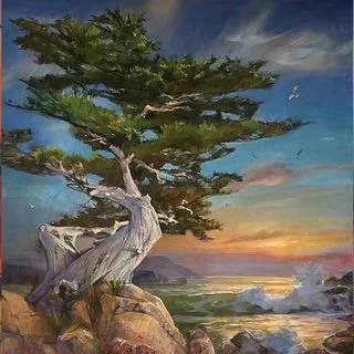 “California Cyprus” - 48”x48” - Oil on Canvas