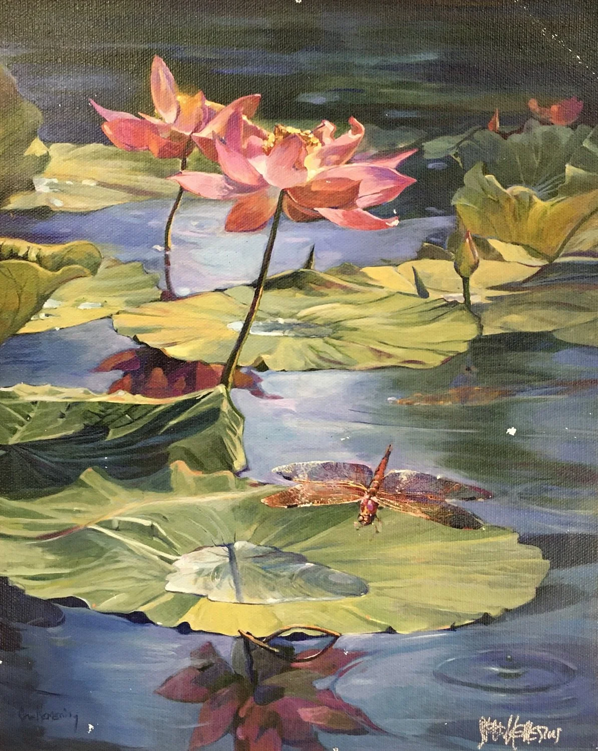 Lotus Meditation