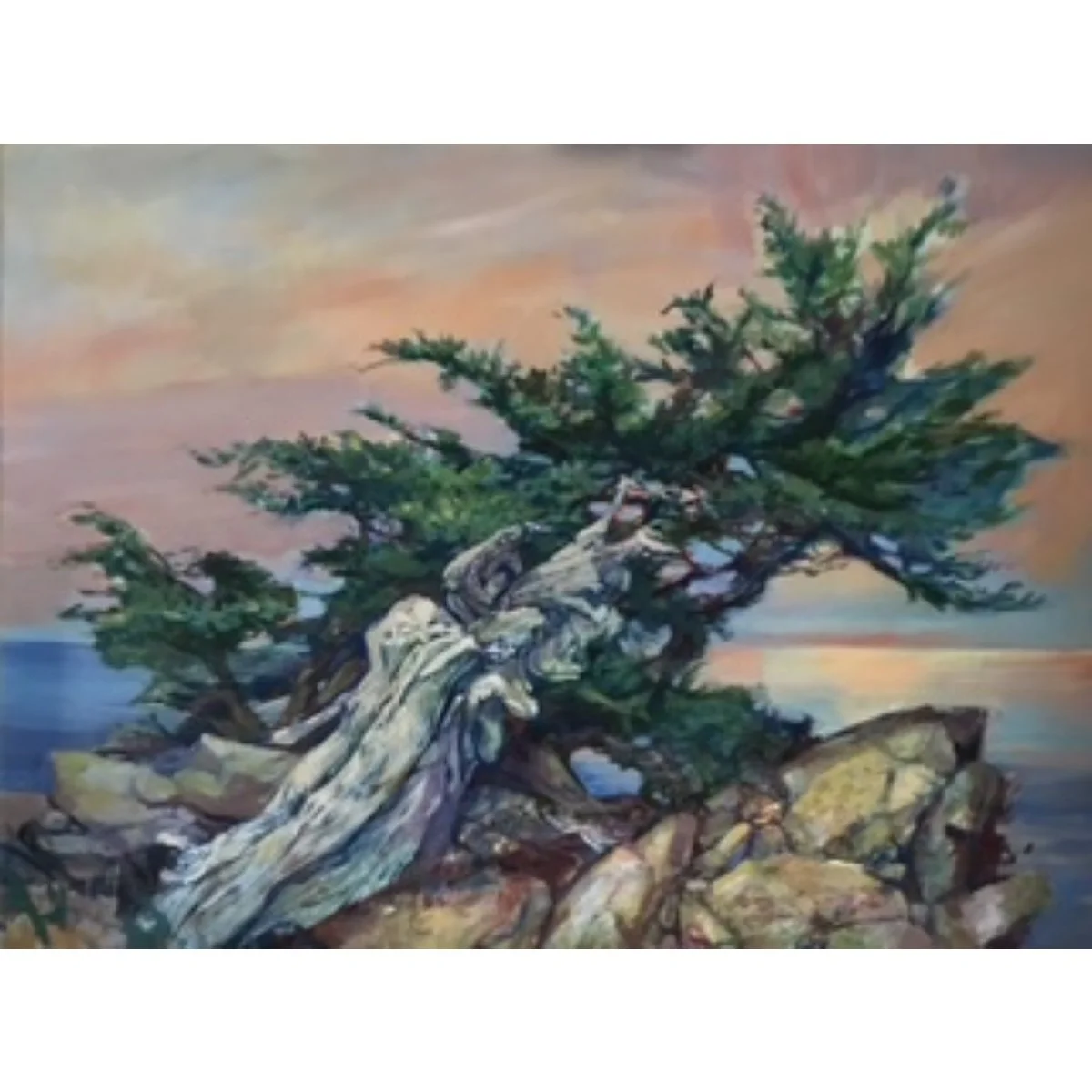 “Cypress Reborn“ - 36"x48" - Oil on Canvas