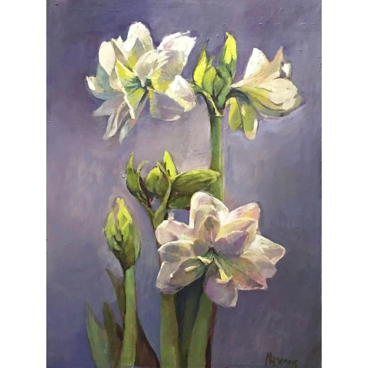 "White Amaryllis" -  24"x18" - Oil on Canvas