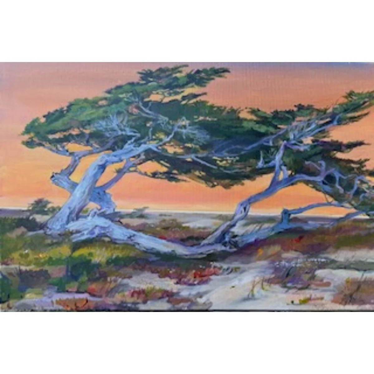 “Cypress on the Dunes" - 24“x36“ - Oil on Canvas