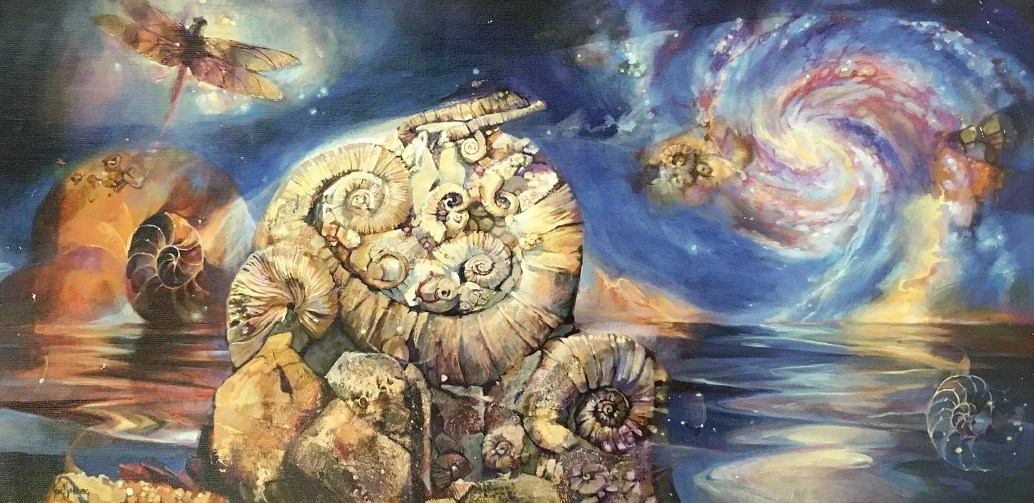 Nautilis Transitions