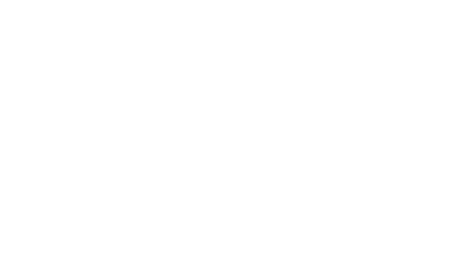 Snappy Gurus 16.9.png
