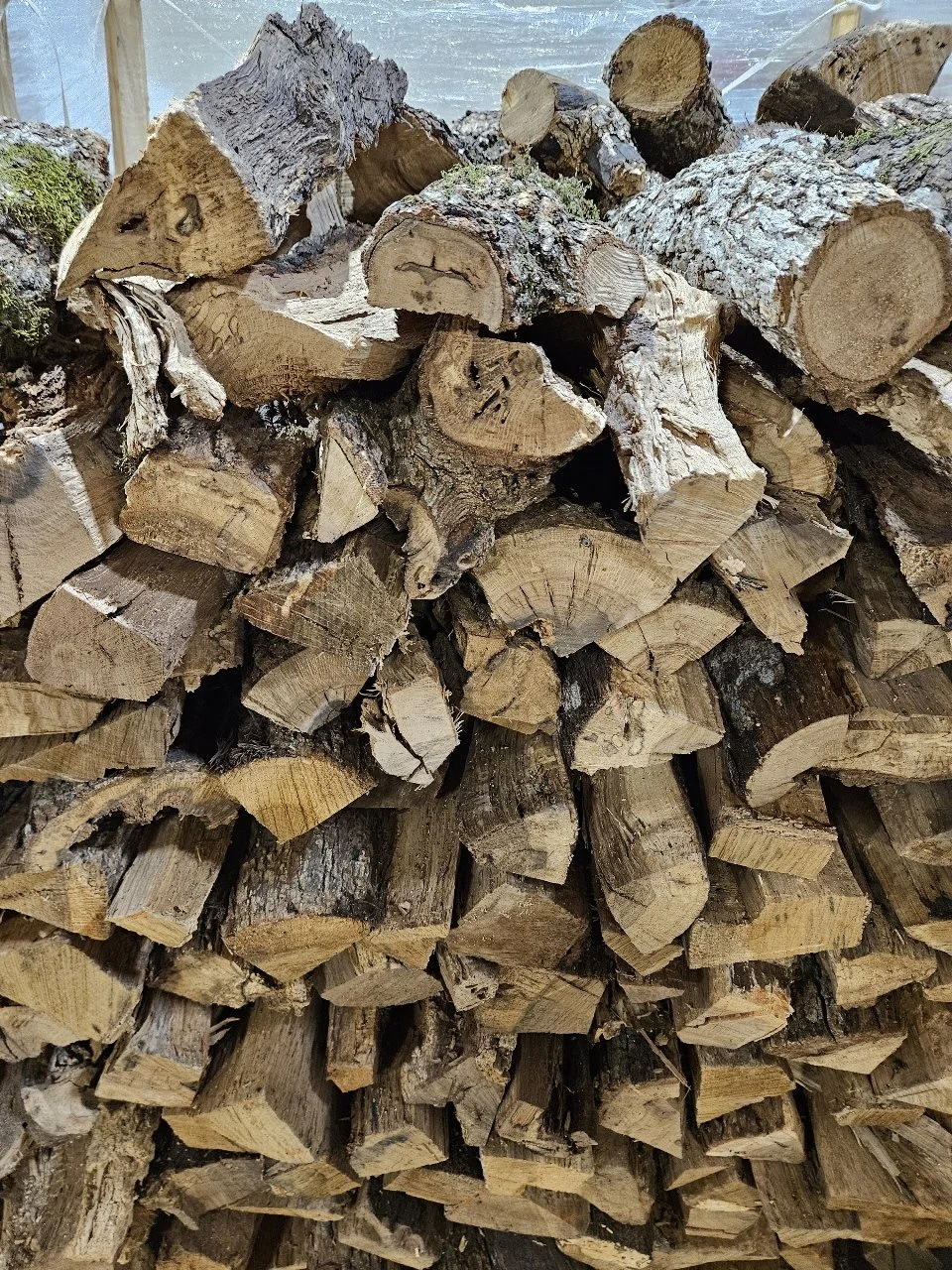 Stacked firewood logs outdoors, cut into various sizes, with some moss and bark remaining.