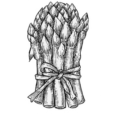 Reminisce Private Catering