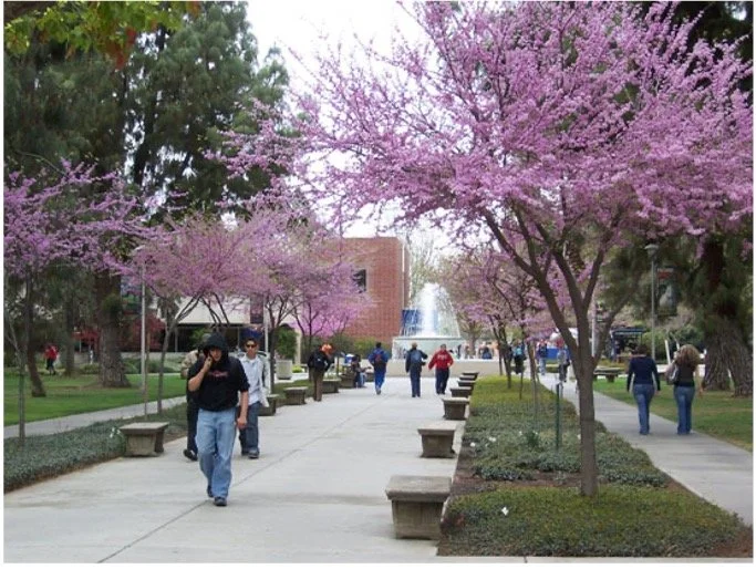 Fresno State’s Commuter Students Seek Connection, Support and Change