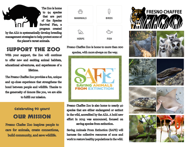 Publication Designs